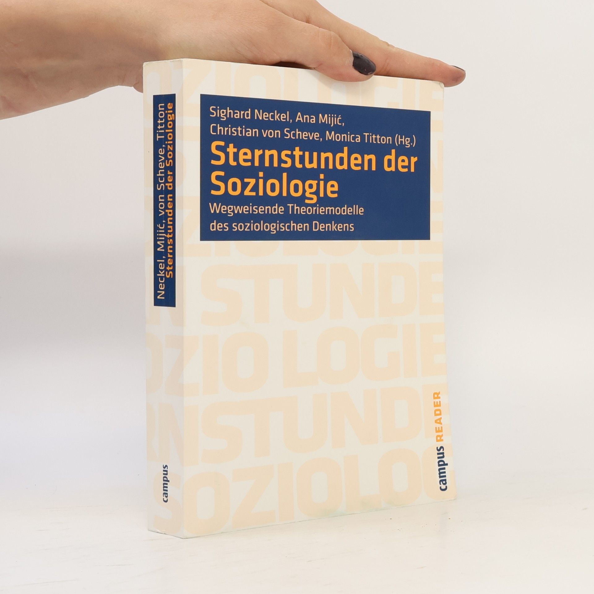 Sighard Neckel Sternstunden der Soziologie