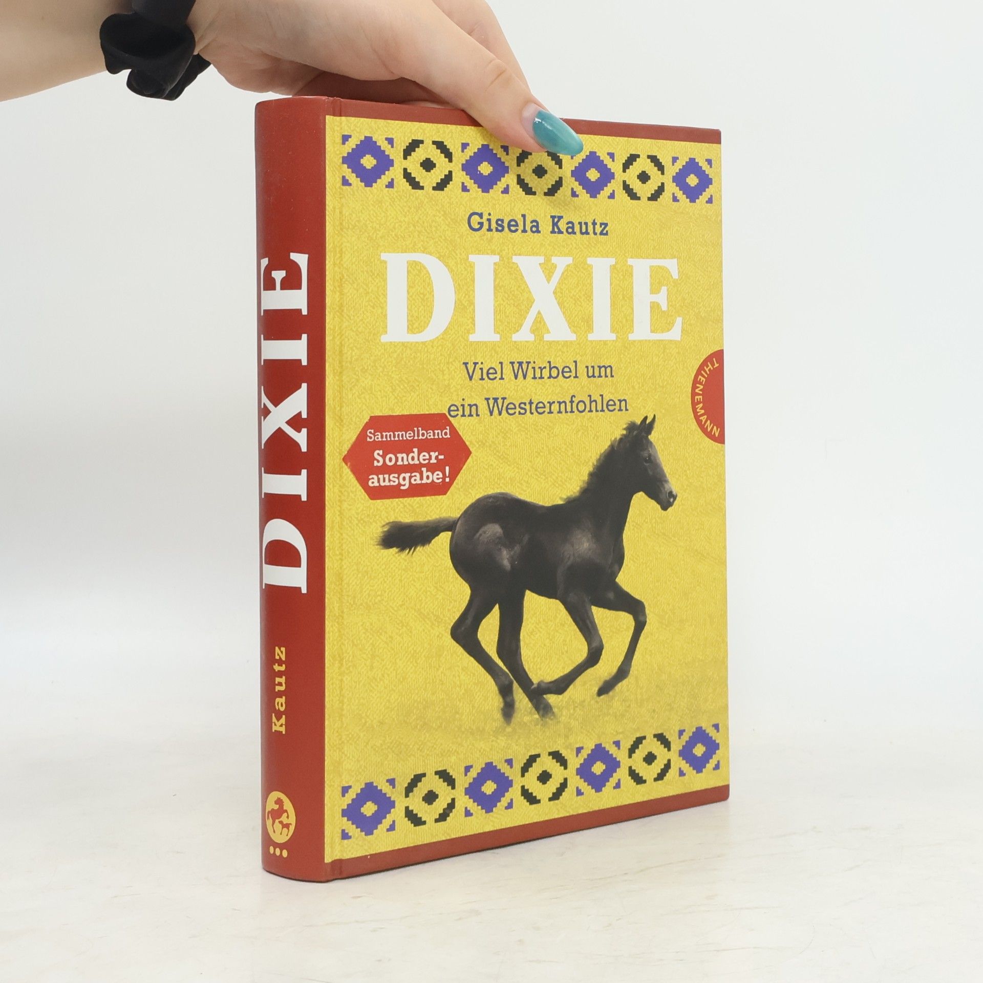 Gisela Kautz Dixie - viel Wirbel um ein Westernfohlen