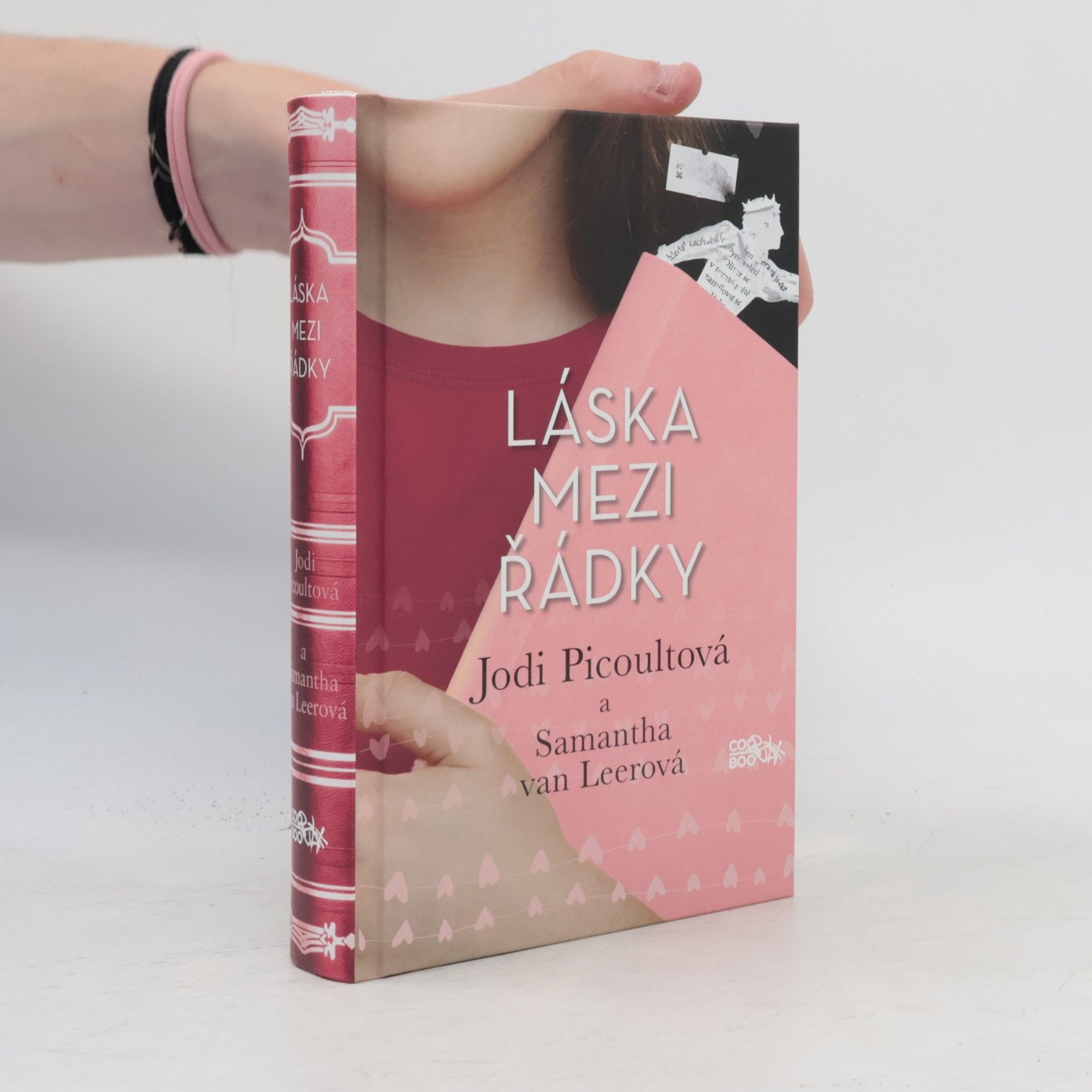Jodi Picoult Láska mezi řádky