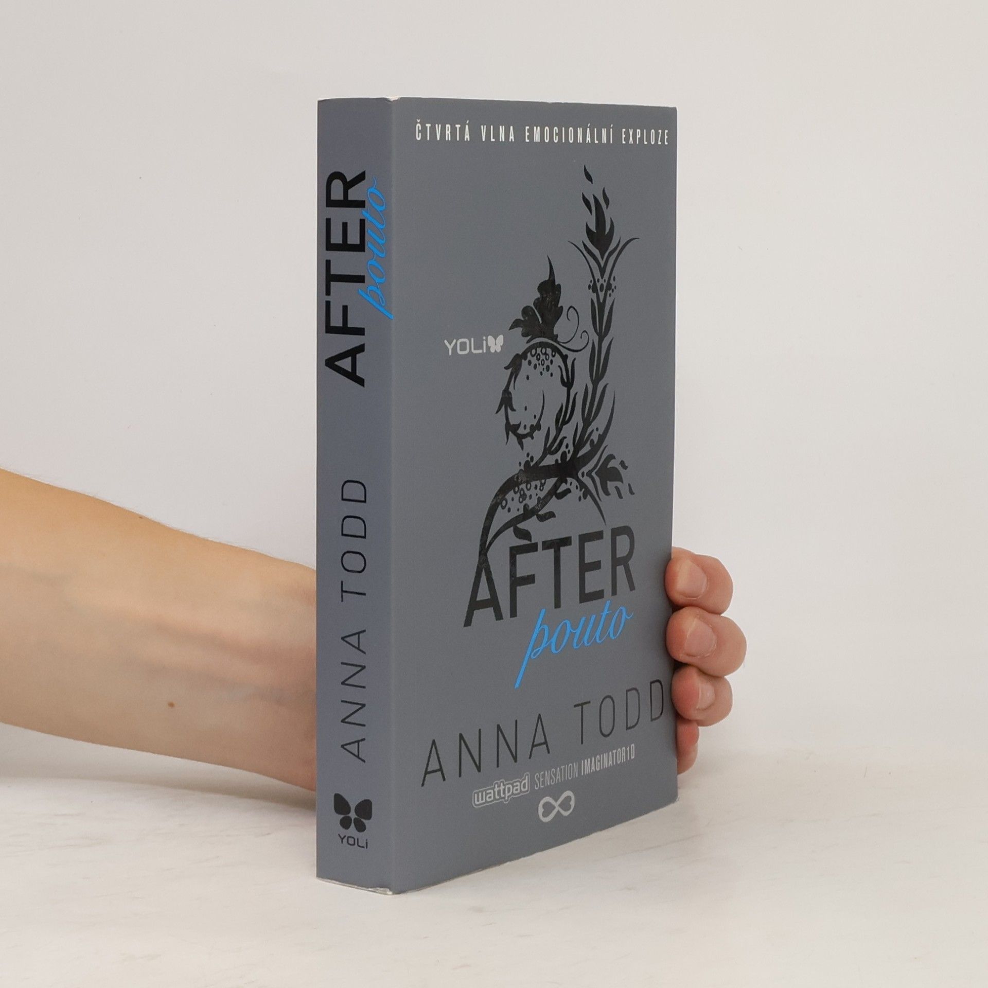Anna Todd After. Pouto
