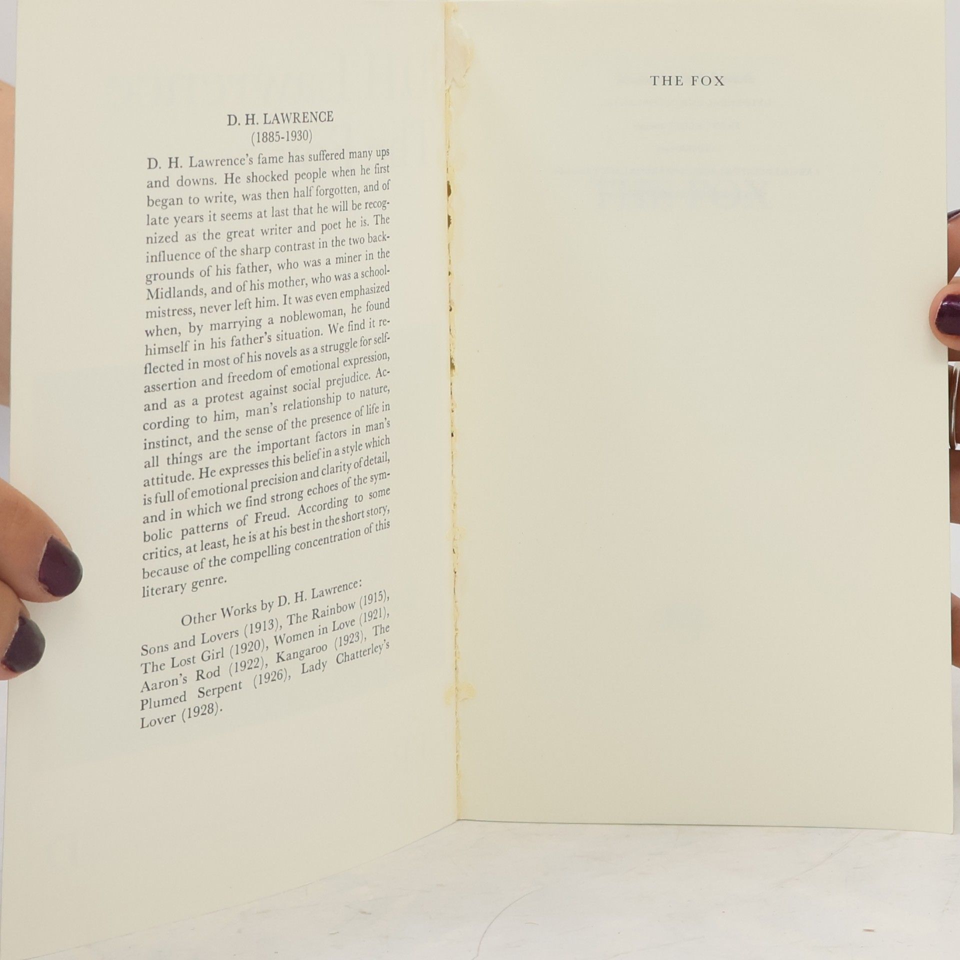 D. H. Lawrence The Fox