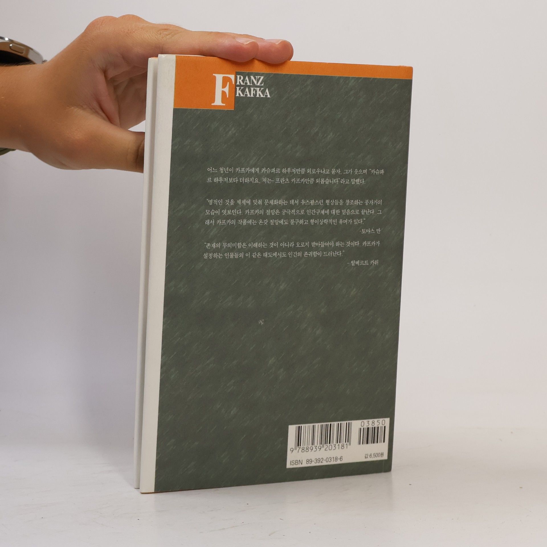 Franz Kafka 죄 고통 희망 그리고 진실된 길에 대한 관찰