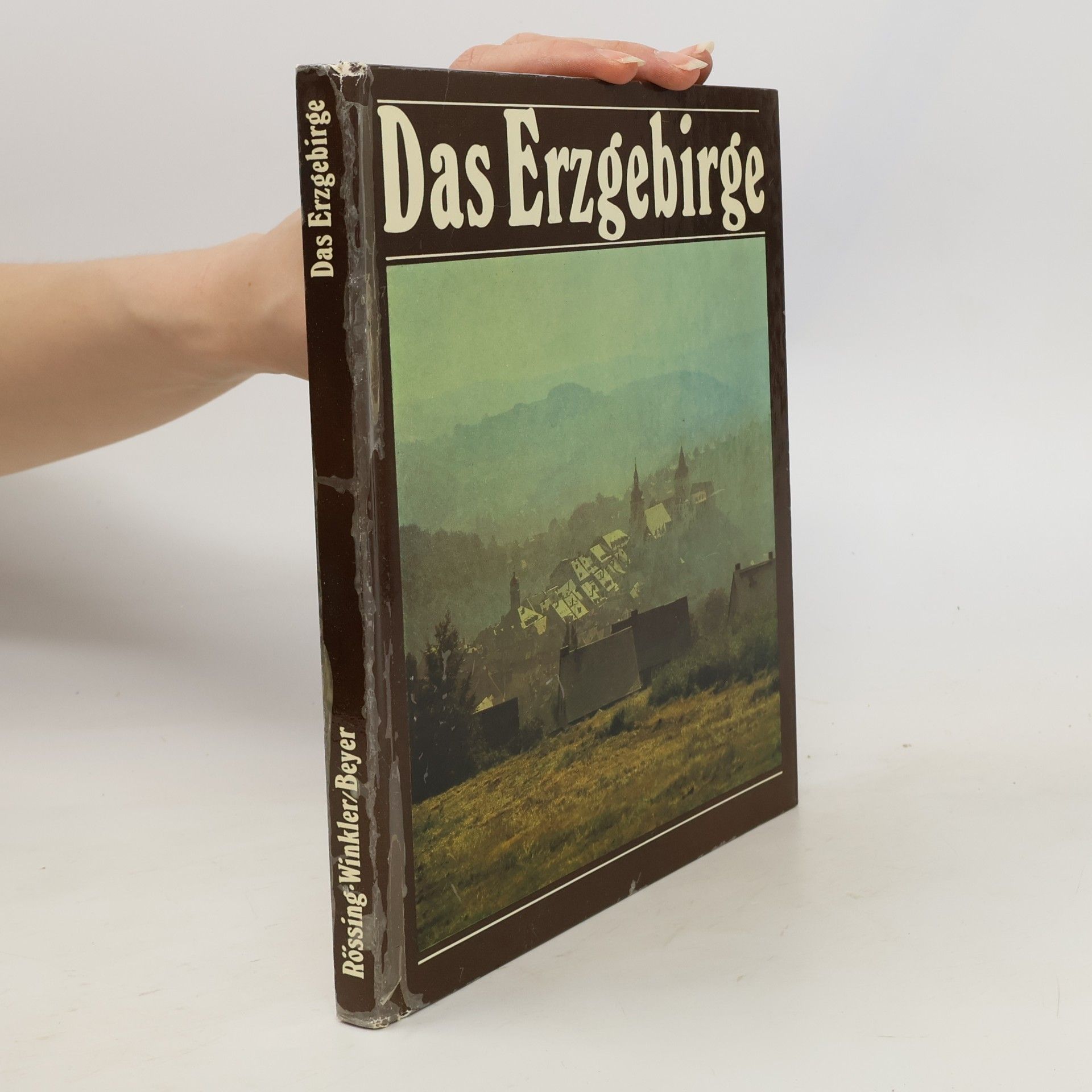 Renate Rössing Das Erzgebirge