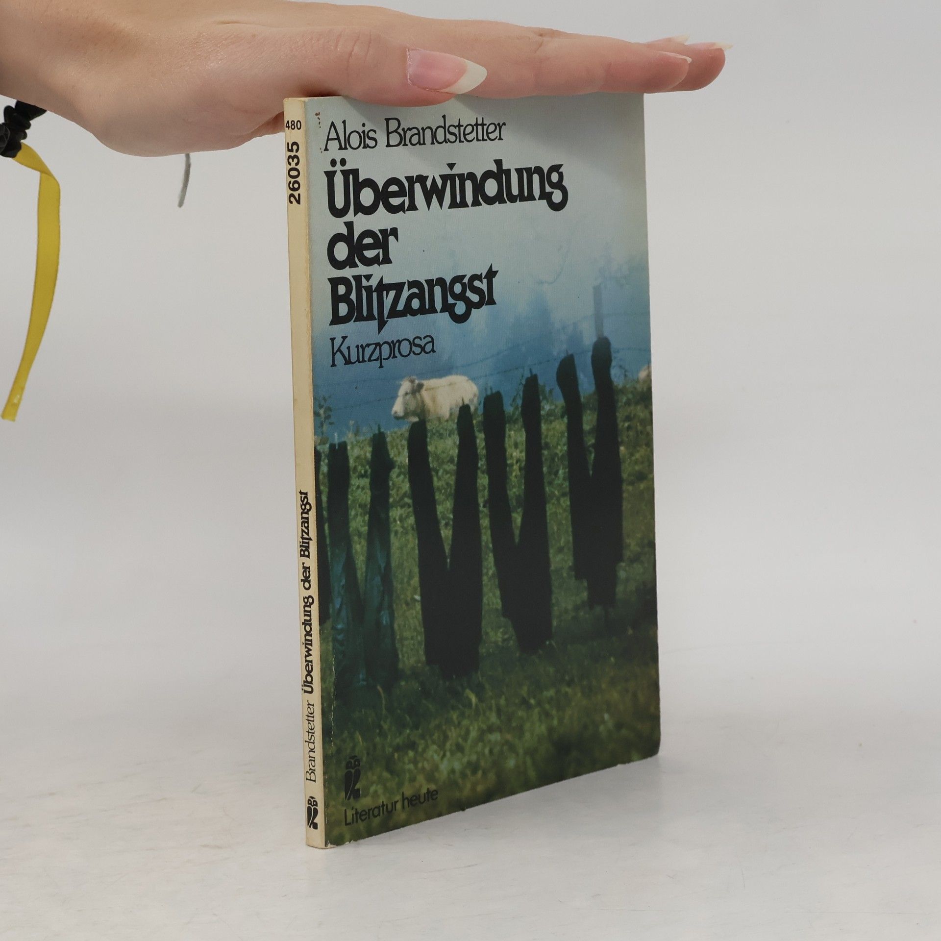 Alois Brandstetter Überwindung der Blitzangst