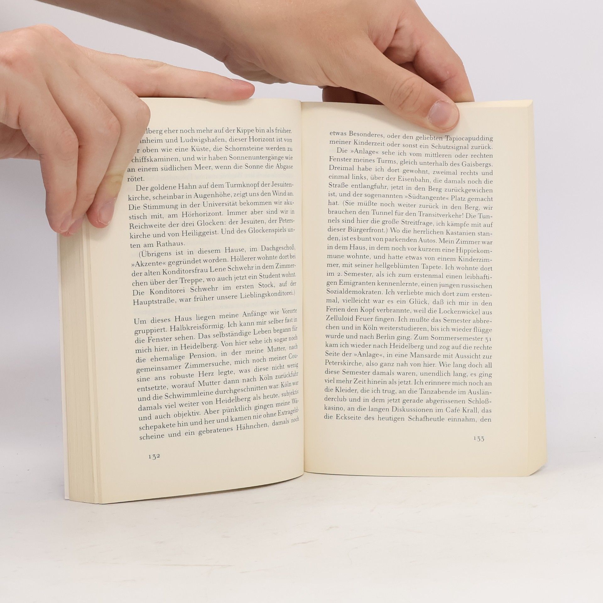 Hilde Domin Gesammelte autobiographische Schriften