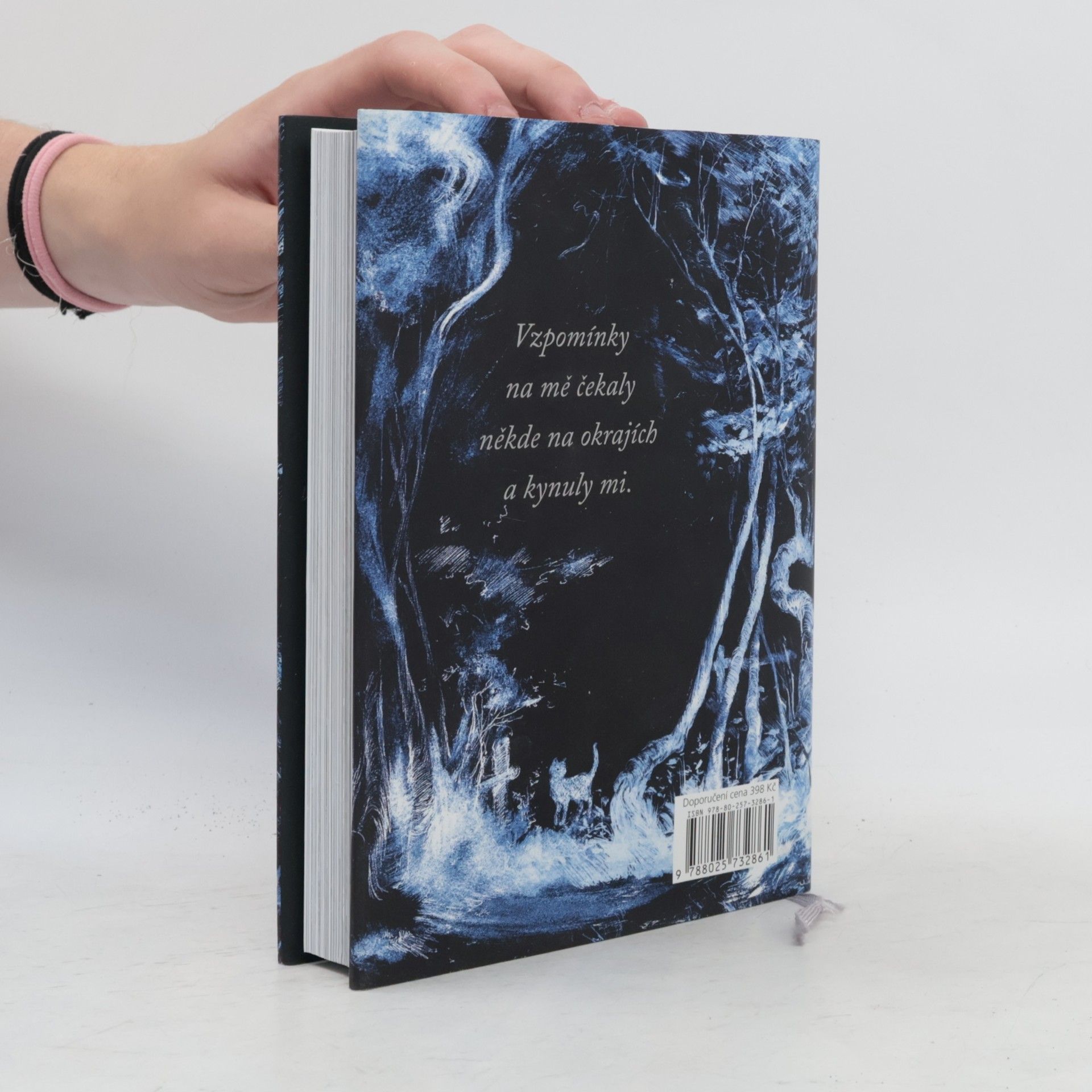 Neil Gaiman Oceán na konci cesty