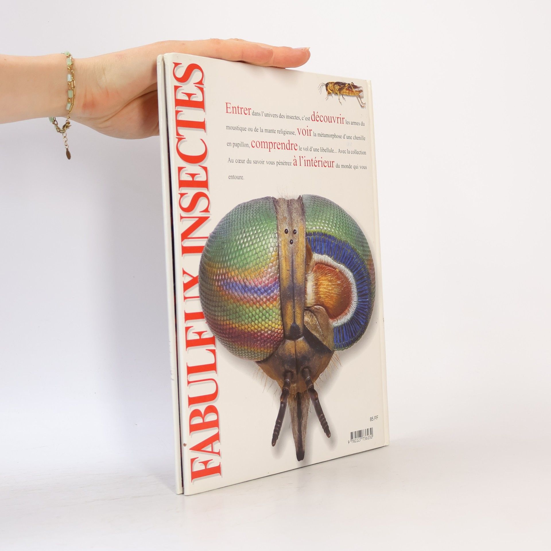 Miranda MacQuitty Au Cœur du Savoir: Fabuleux insectes