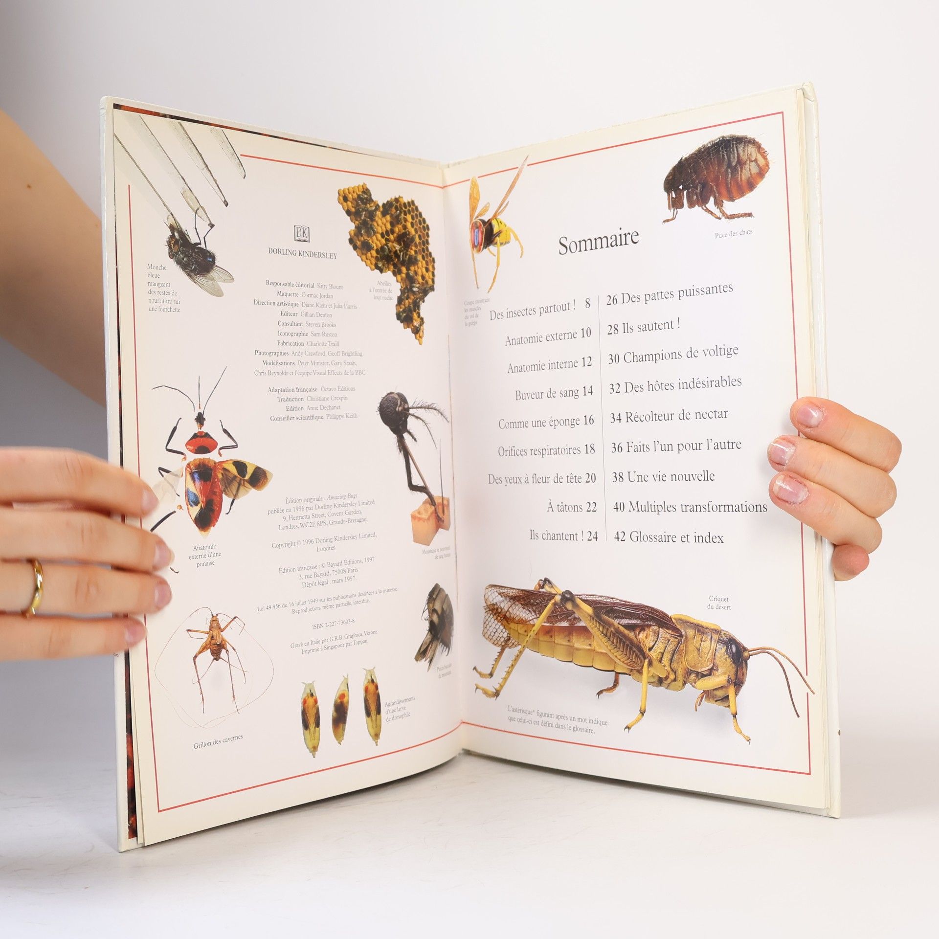 Miranda MacQuitty Au Cœur du Savoir: Fabuleux insectes