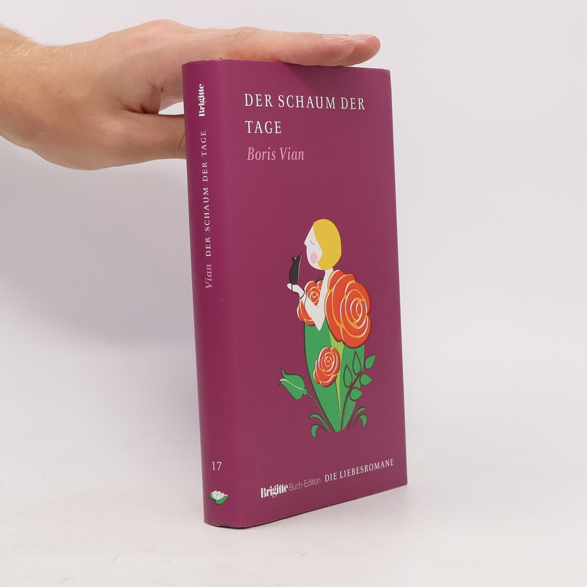 Boris Vian Der Schaum der Tage