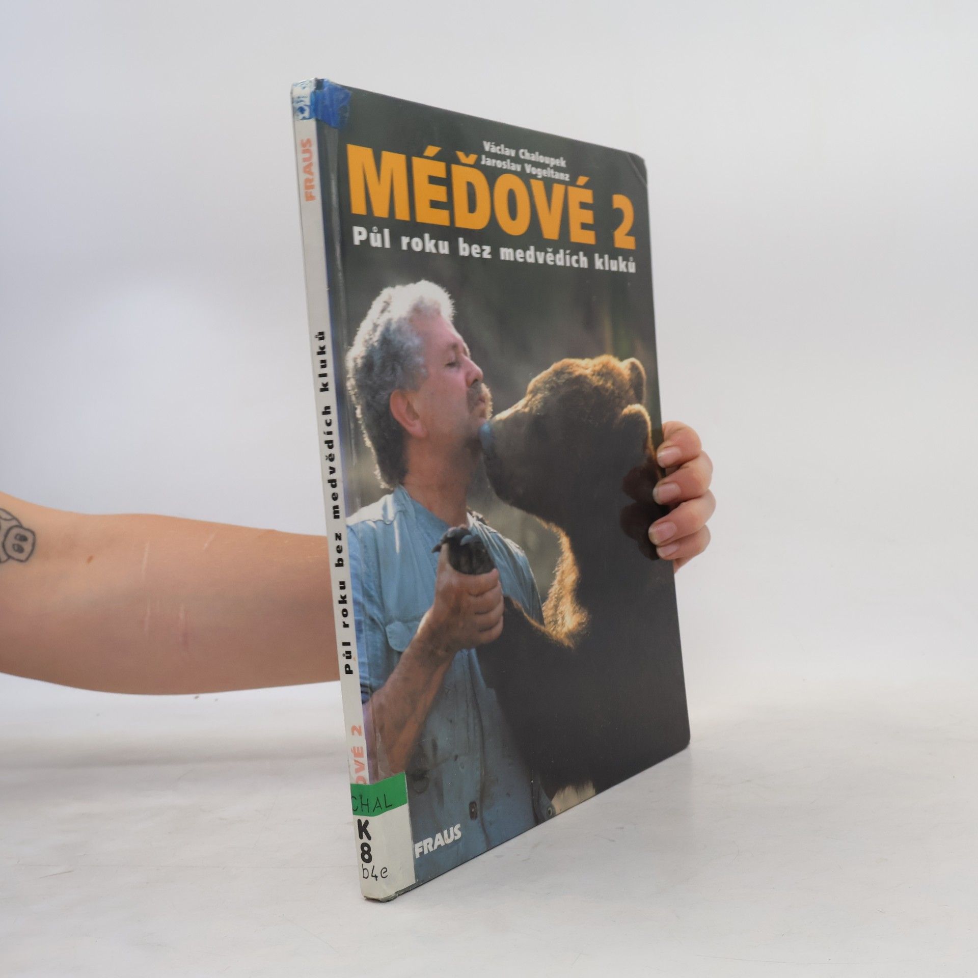 Méďové 2. Půl roku bez medvědích kluků.