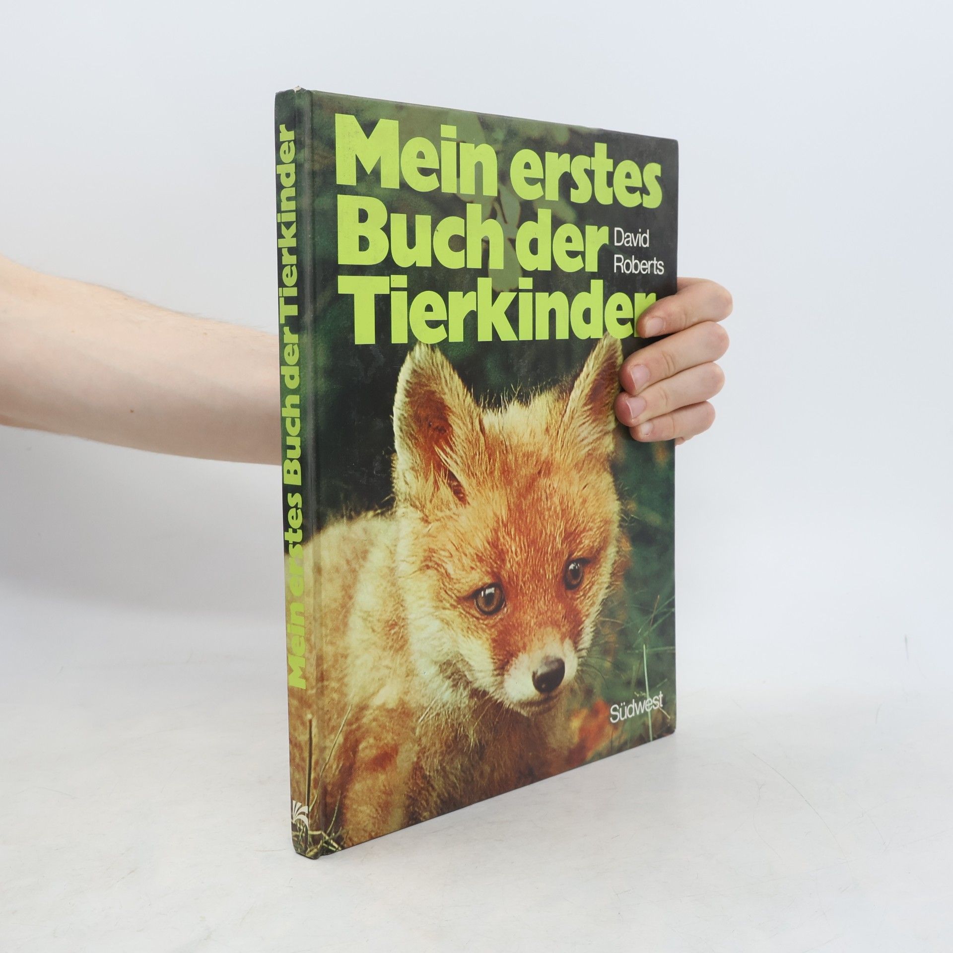 David Roberts Mein erstes Buch der Tierkinder