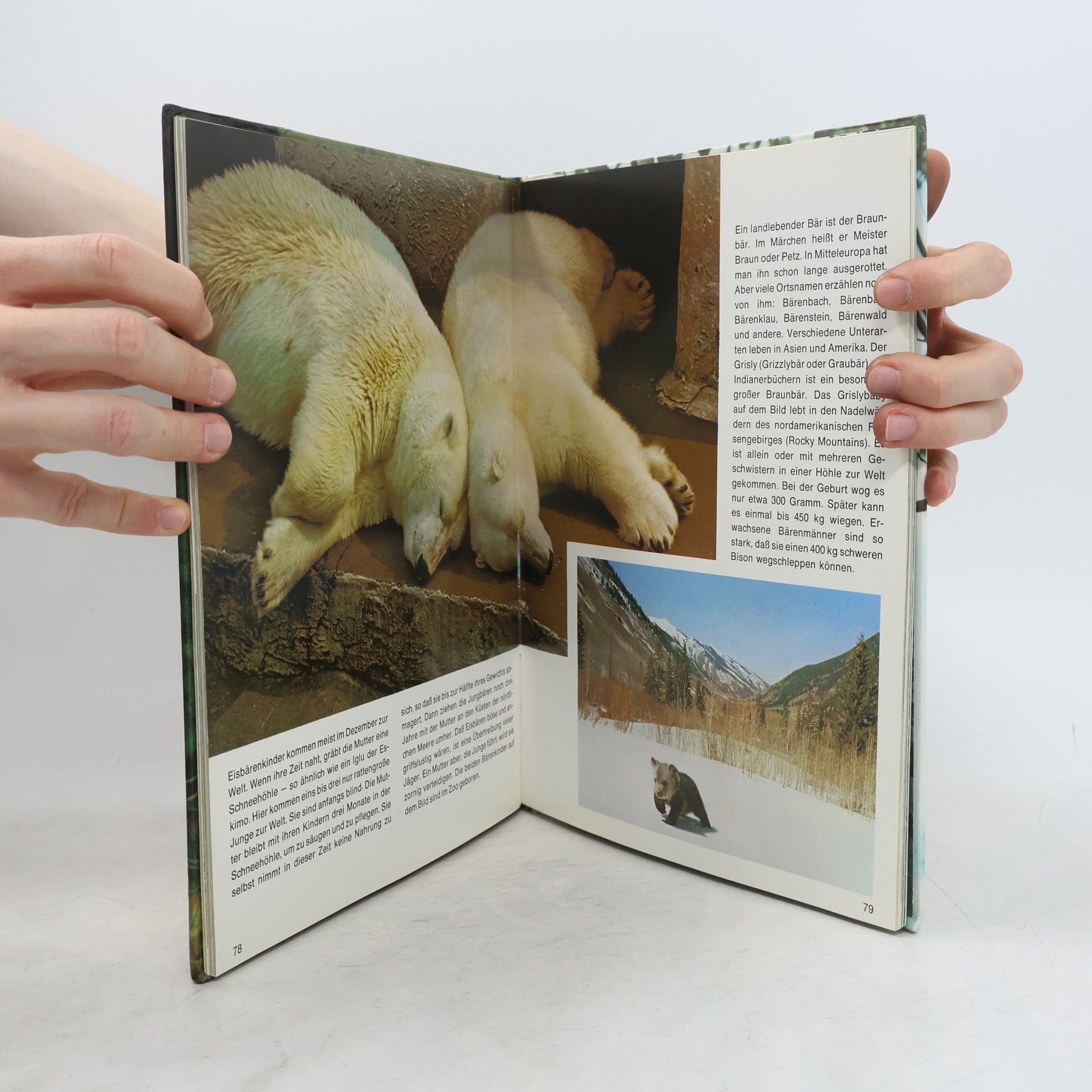 David Roberts Mein erstes Buch der Tierkinder