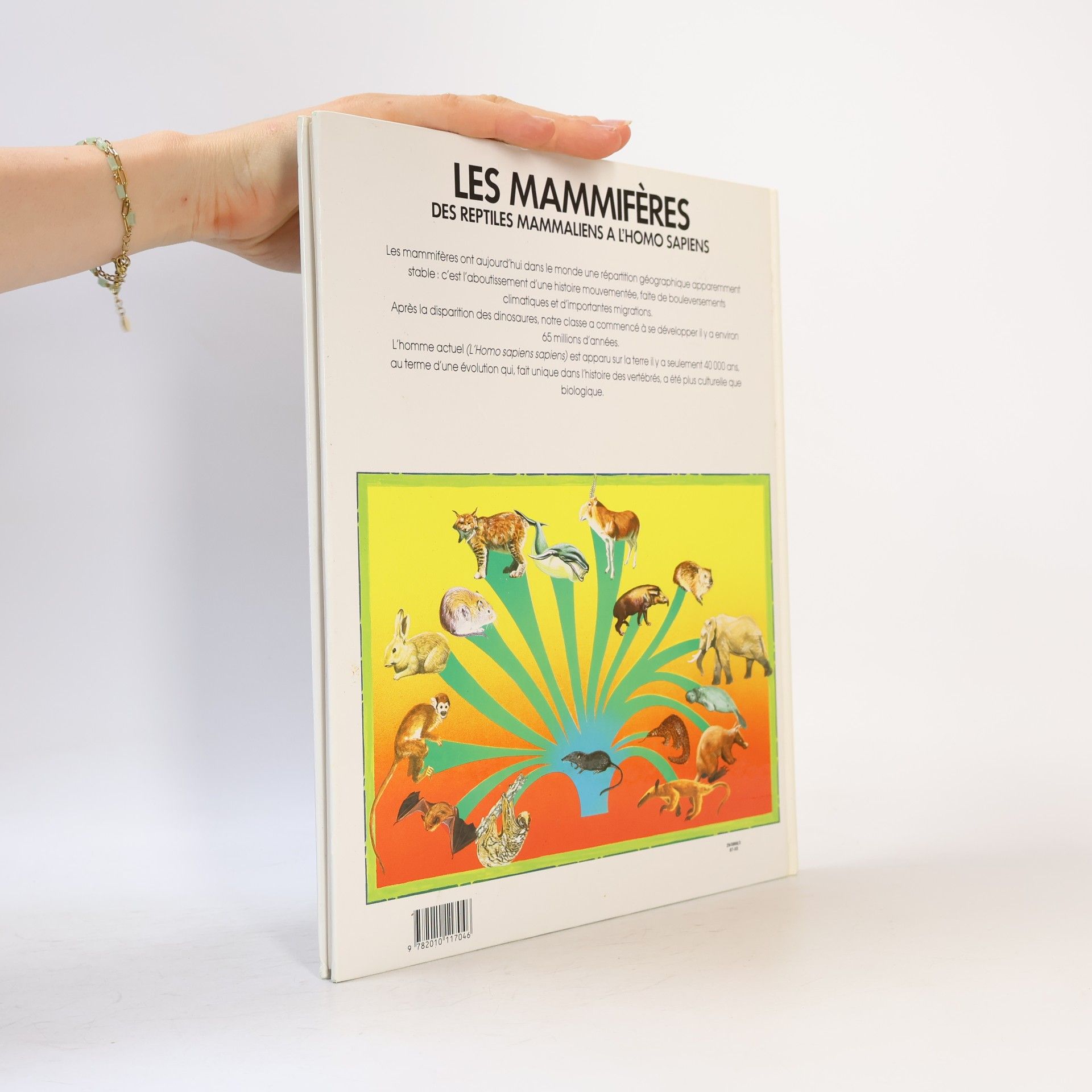 Giuseppe Minelli Histoire de la vie sur la terre: Les Mammifères