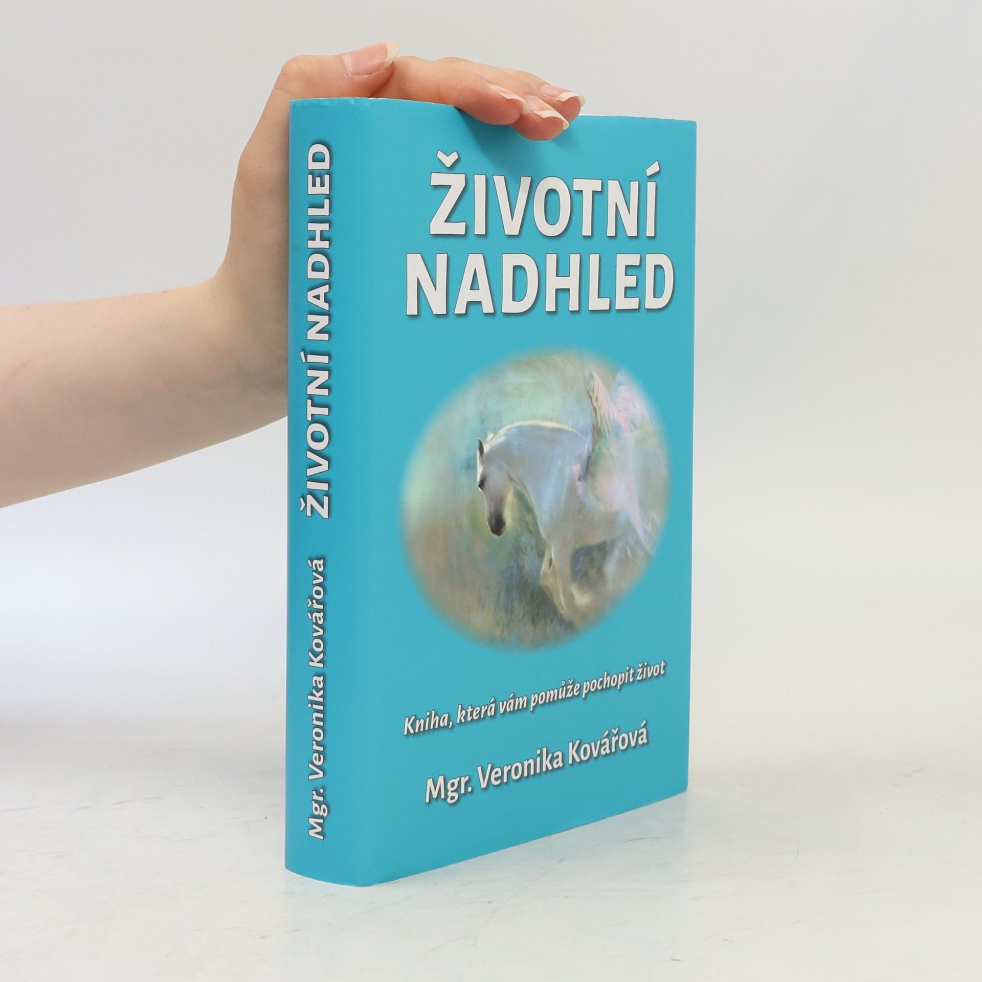 Životní nadhled. Kniha, která Vám pomůže pochopit život