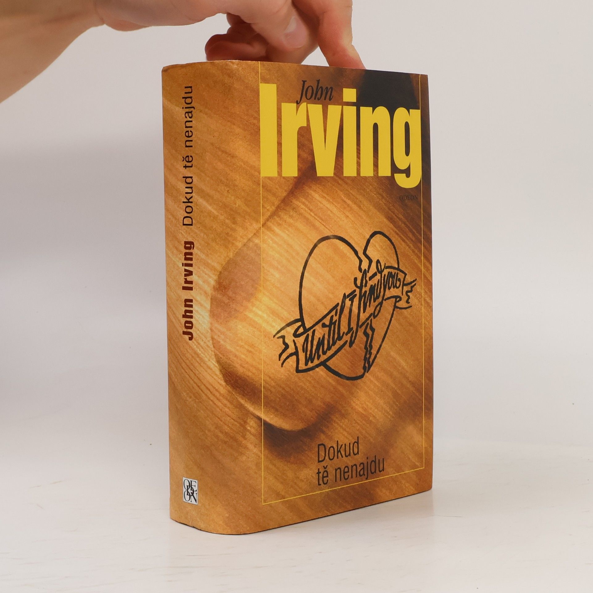John Irving Dokud tě nenajdu