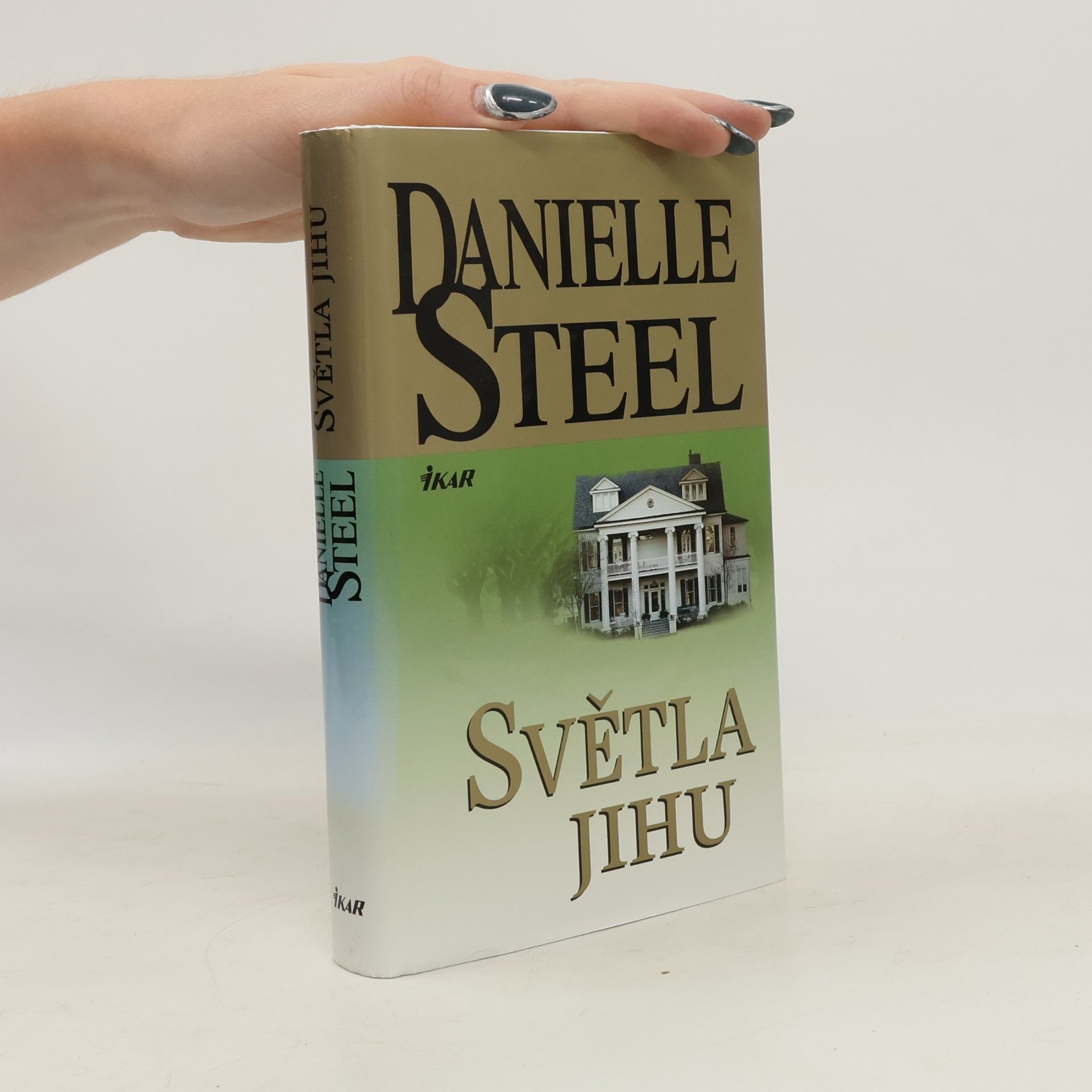 Danielle Steel Světla Jihu