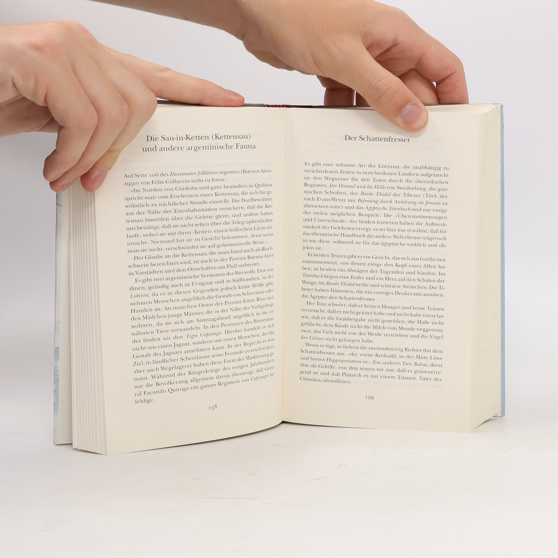 Jorge Luis Borges Gesammelte Werke - 10: Die Anthologien