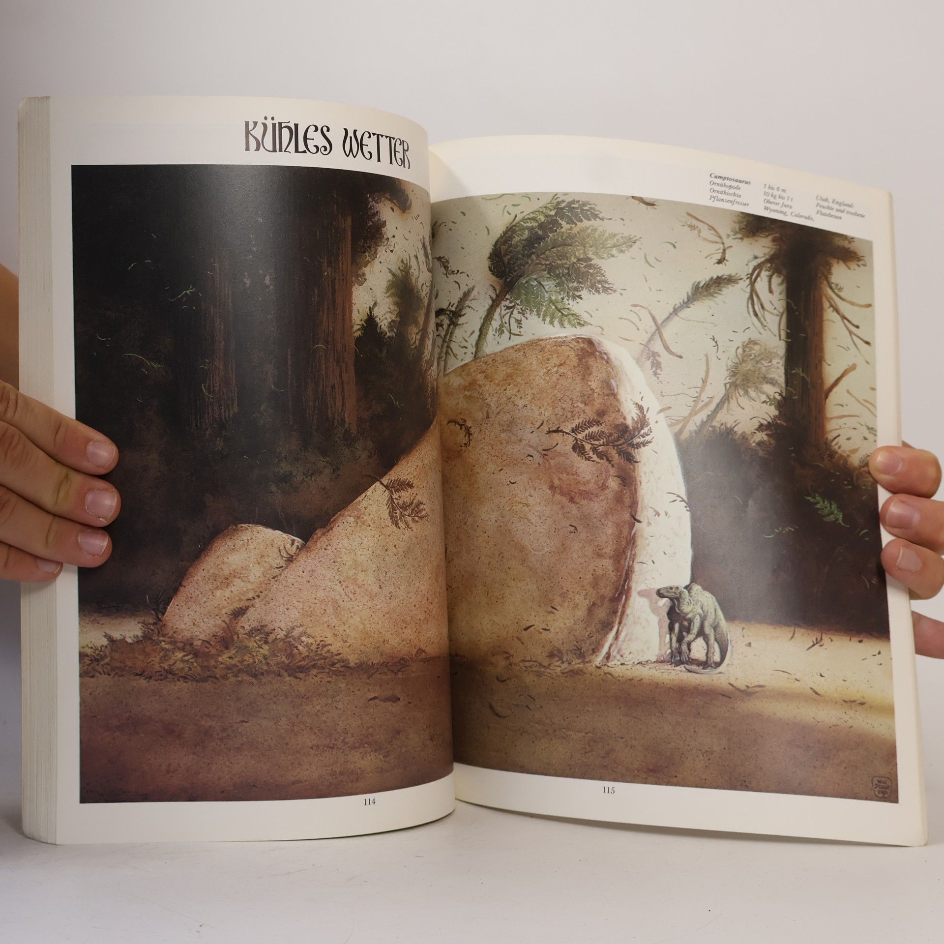 William Stout Die Dinosaurier