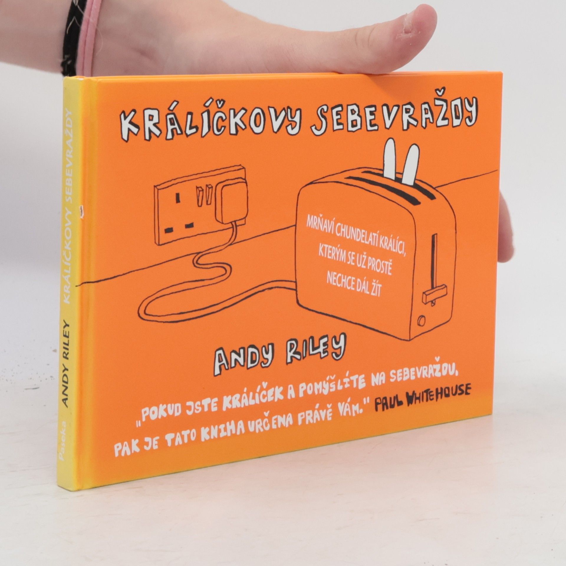Andy Riley Králíčkovy sebevraždy
