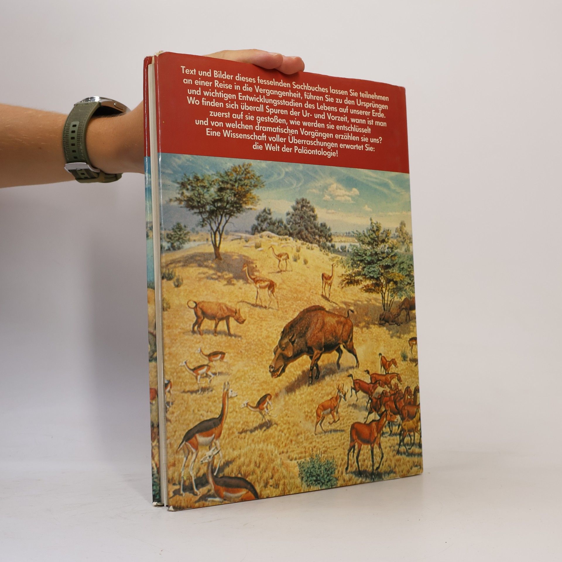 L.B Halstead Rätsel der Urzeit. Das Buch der Paläntologie
