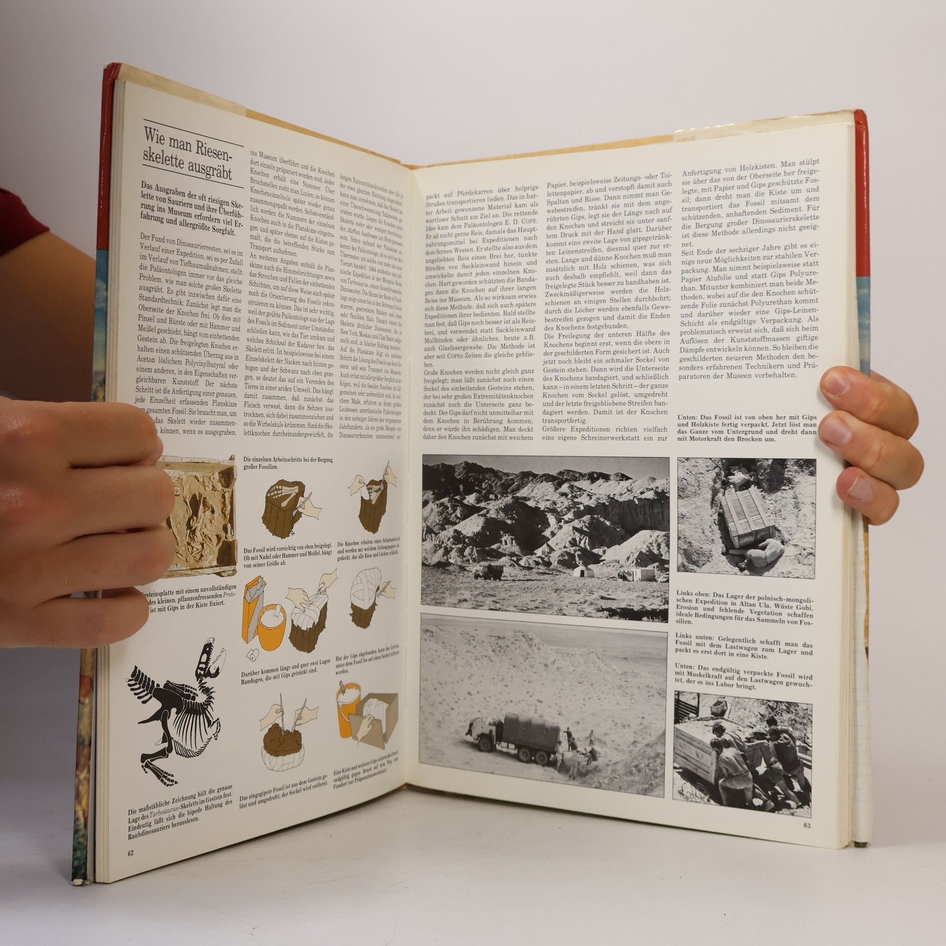 L.B Halstead Rätsel der Urzeit. Das Buch der Paläntologie