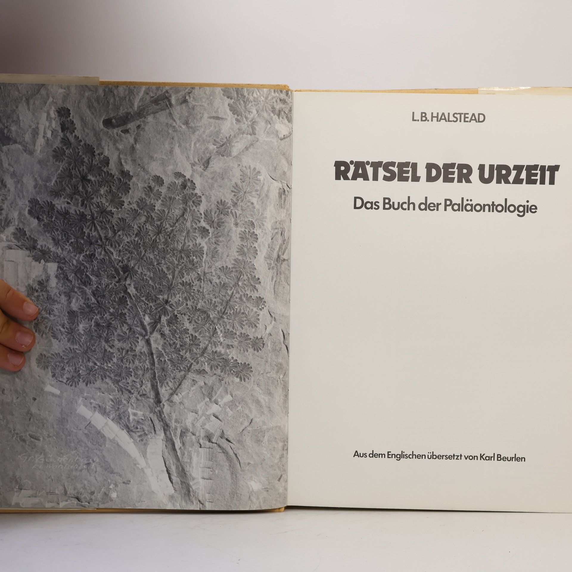 L.B Halstead Rätsel der Urzeit. Das Buch der Paläntologie