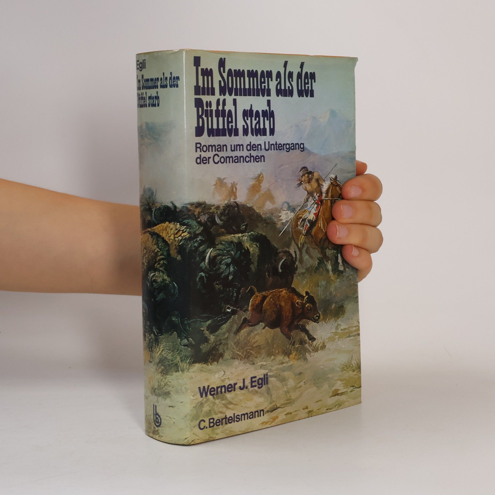 Werner J. Egli Im Sommer als der Büffel starb