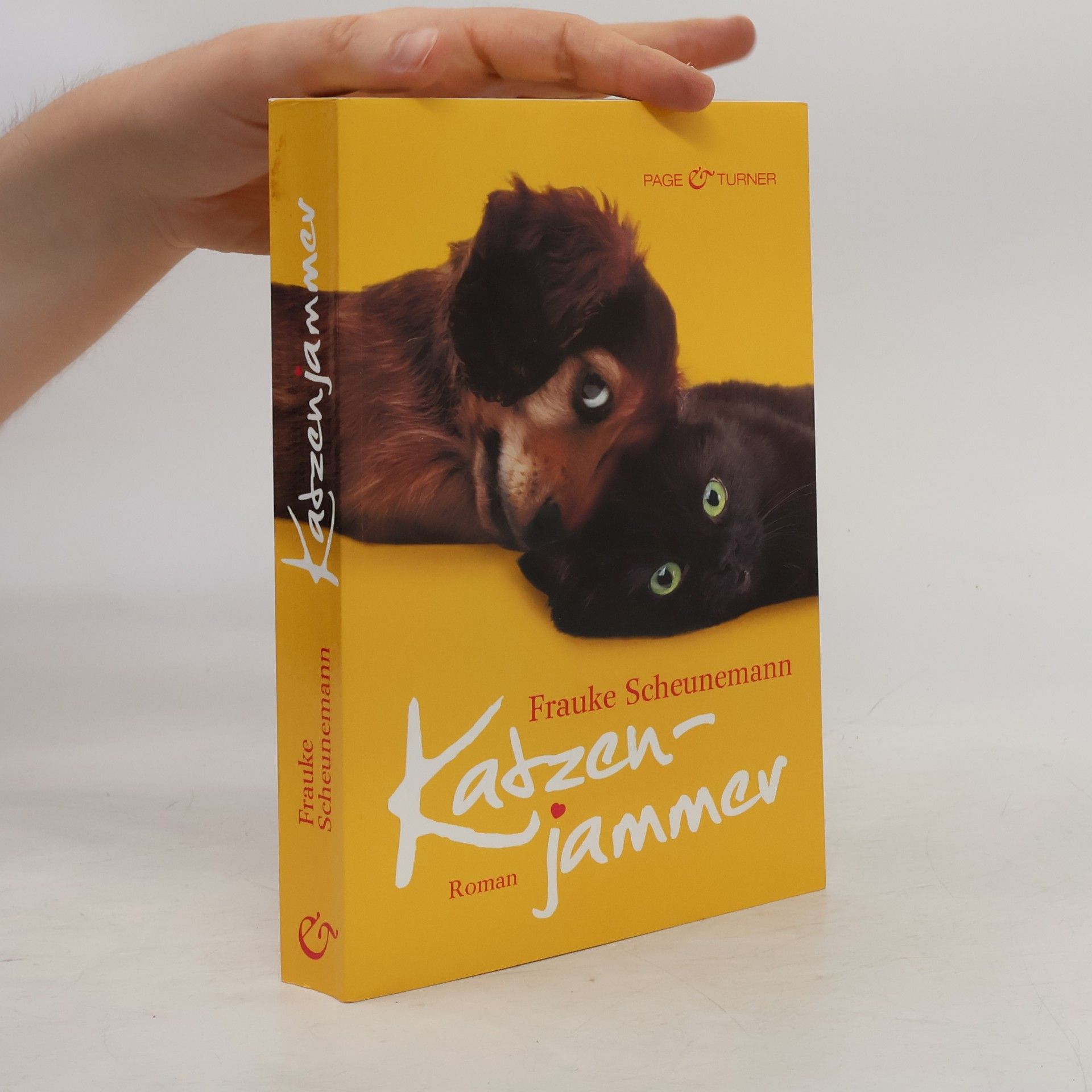Frauke Scheunemann Katzenjammer