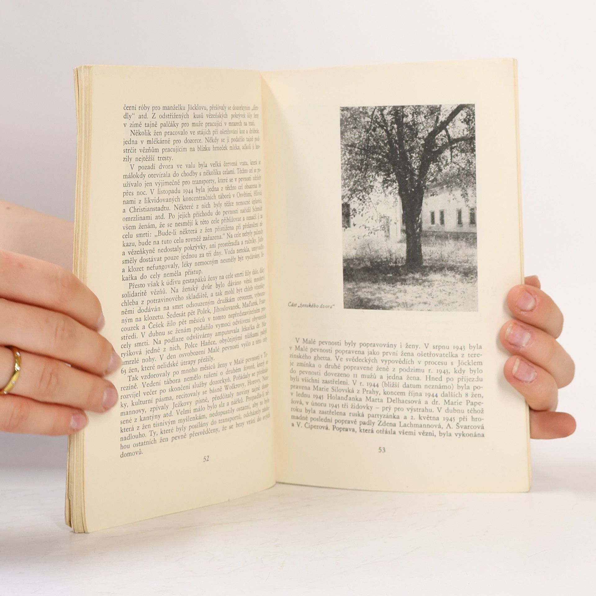 Táňa Kulišová Malá pevnost Terezín. Národní hřbitov. Gheto