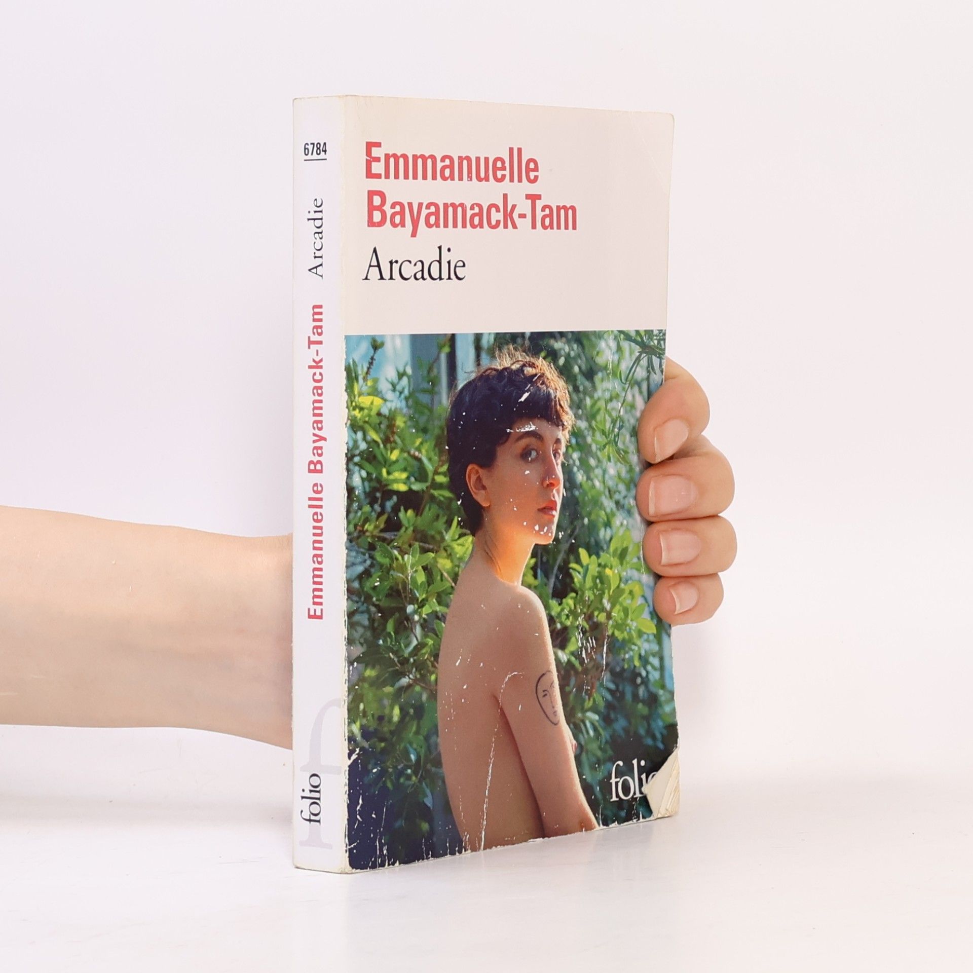 Emmanuelle Bayamack-Tam Arcadie
