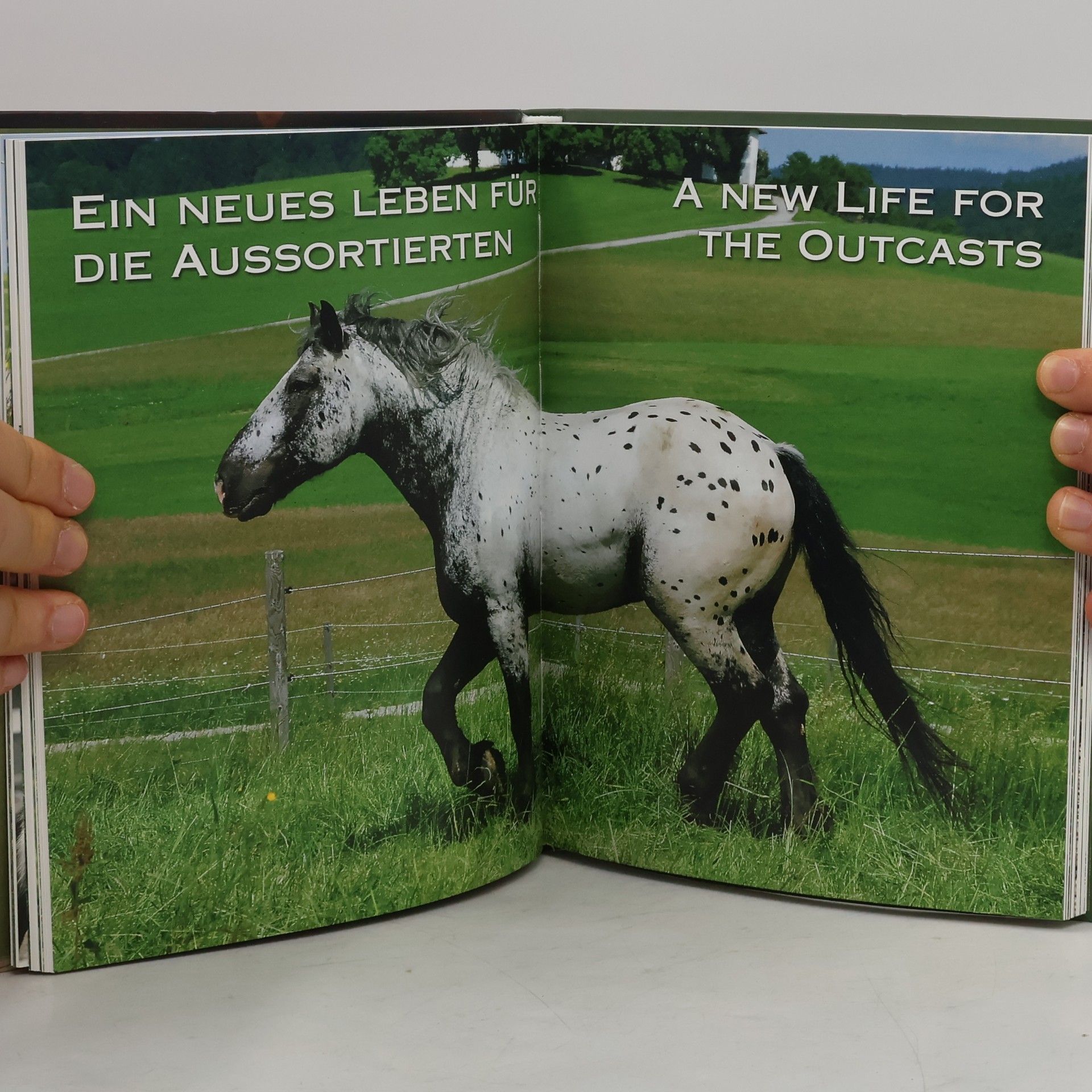 Michael Aufhauser Meine schönsten Pferdegeschichten