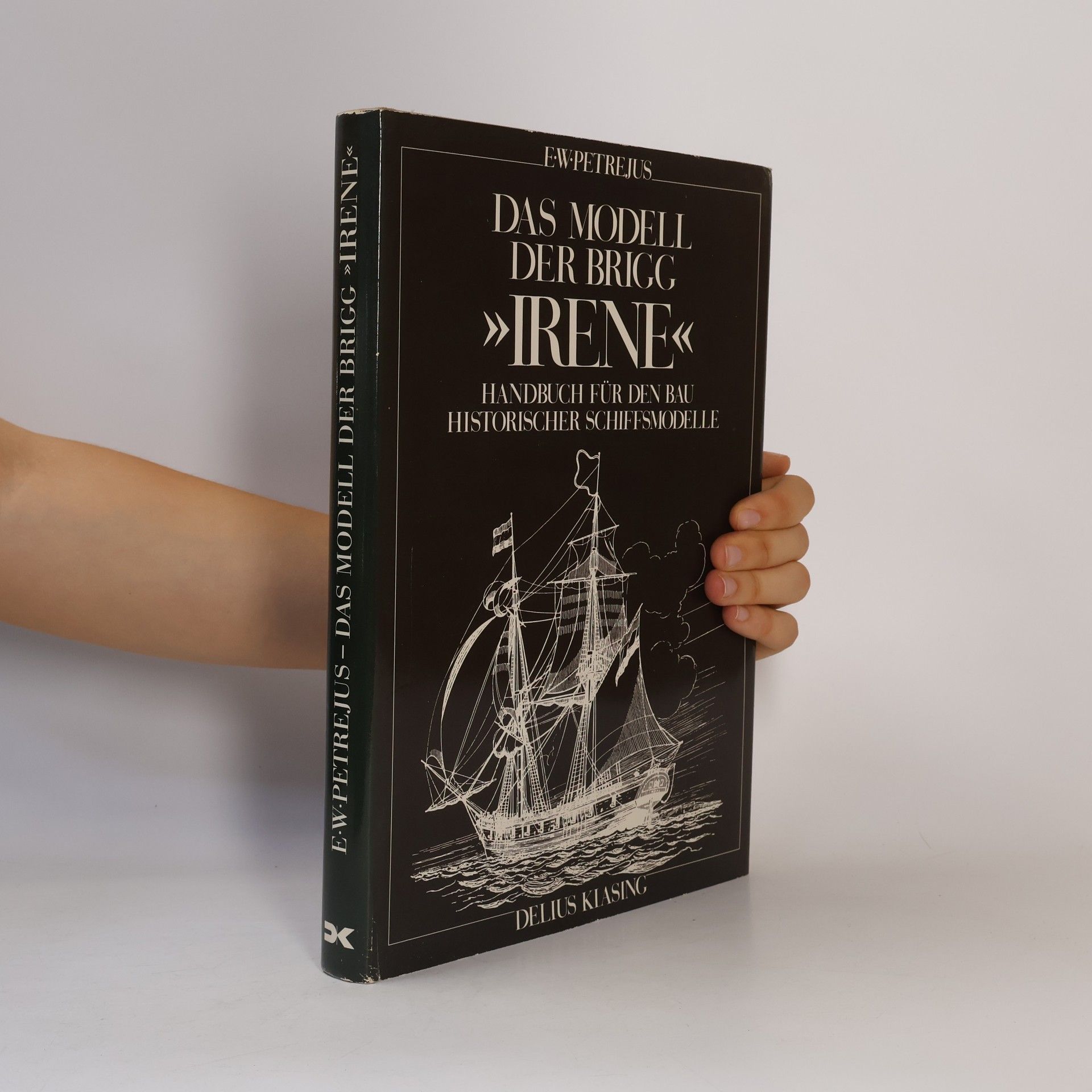 Egbert Willem Petrejus Das Modell der Brigg "Irene"