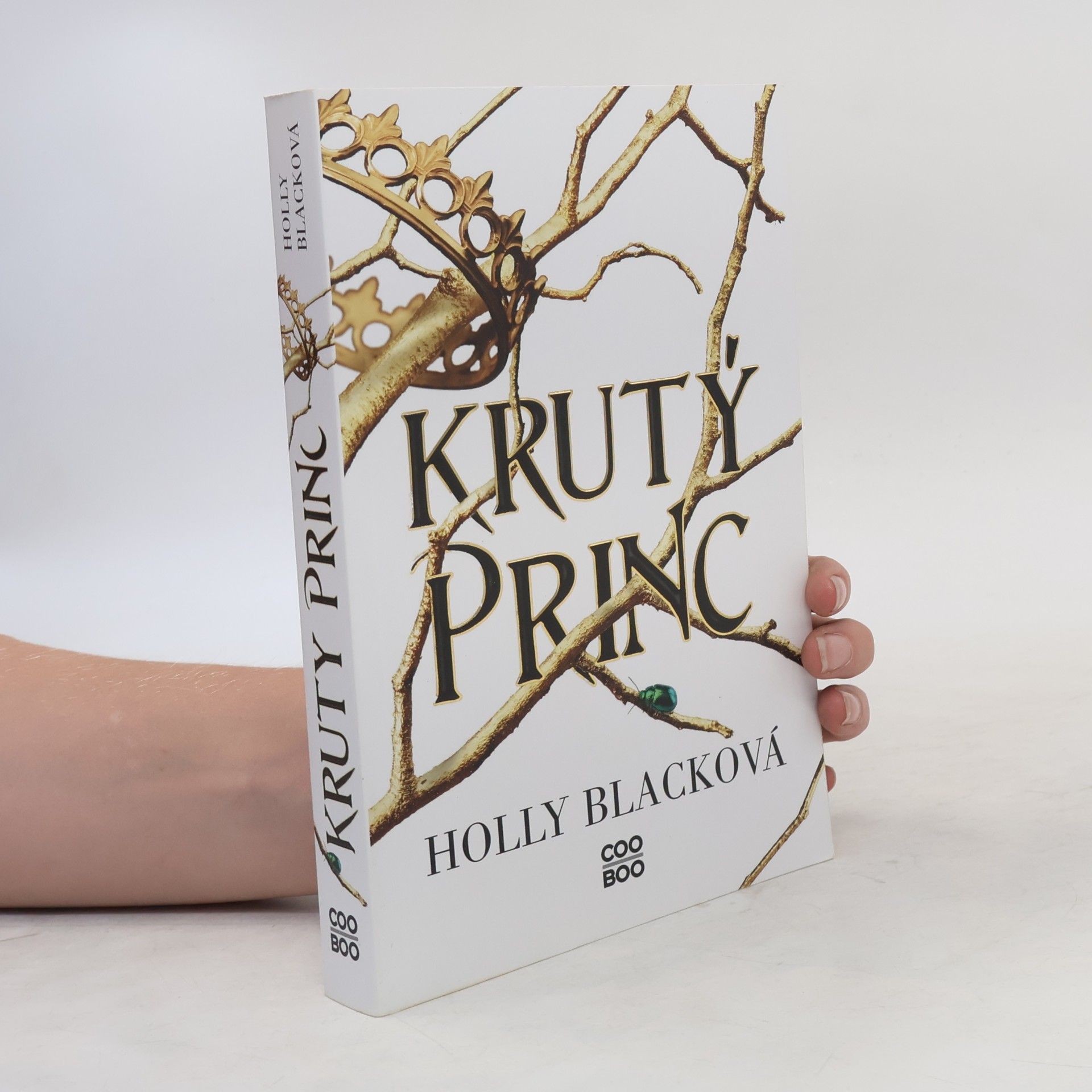Holly Black Krutý princ