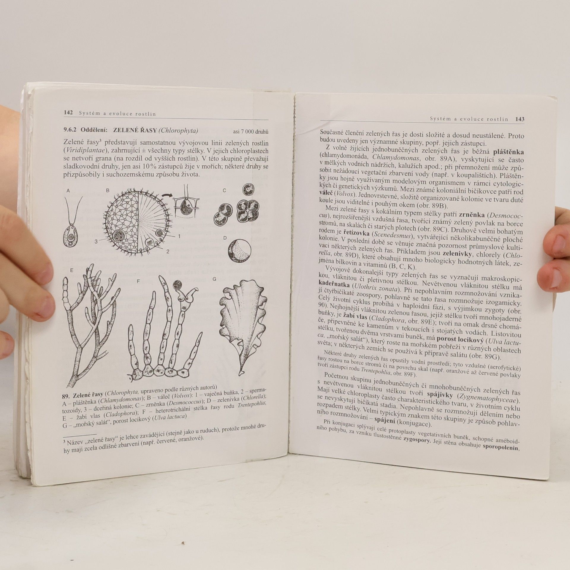 Lubomír Kincl Biologie rostlin: Pro 1. ročník gymnázií