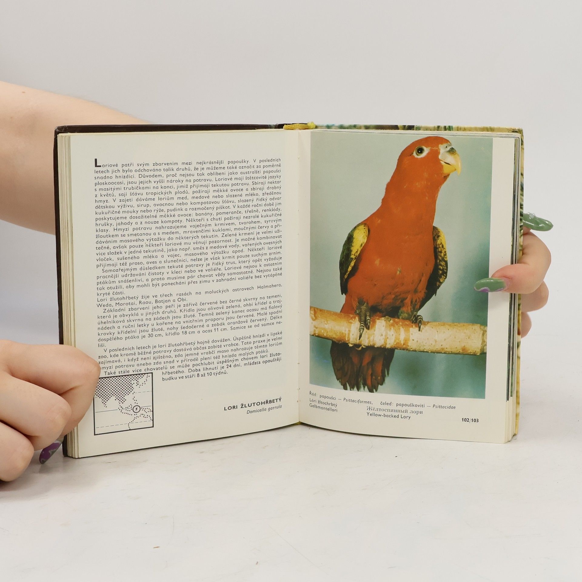 Zdeněk Veger Kapesní atlas cizokrajných ptáků