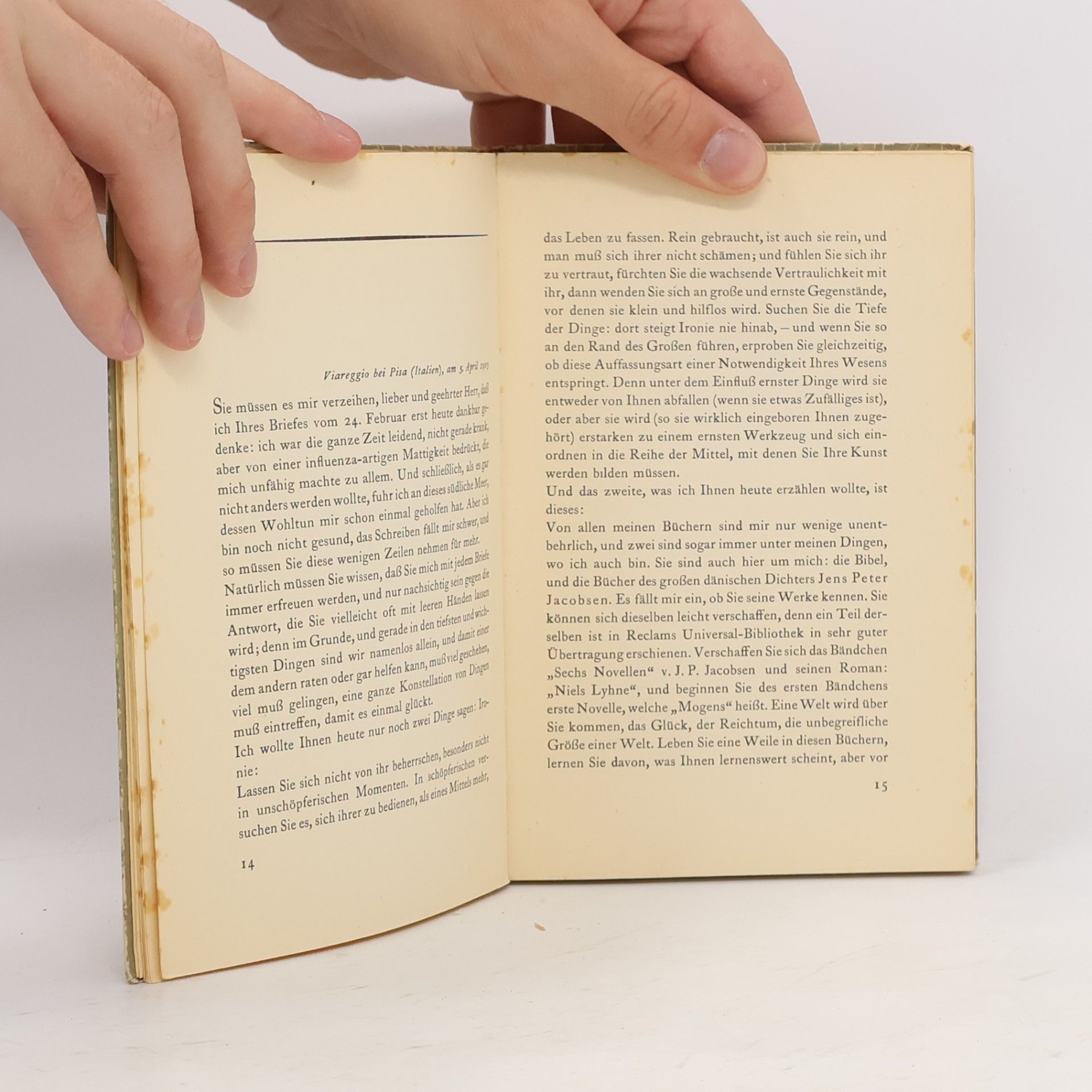 Rainer Maria Rilke Briefe an einen jungen Dichter