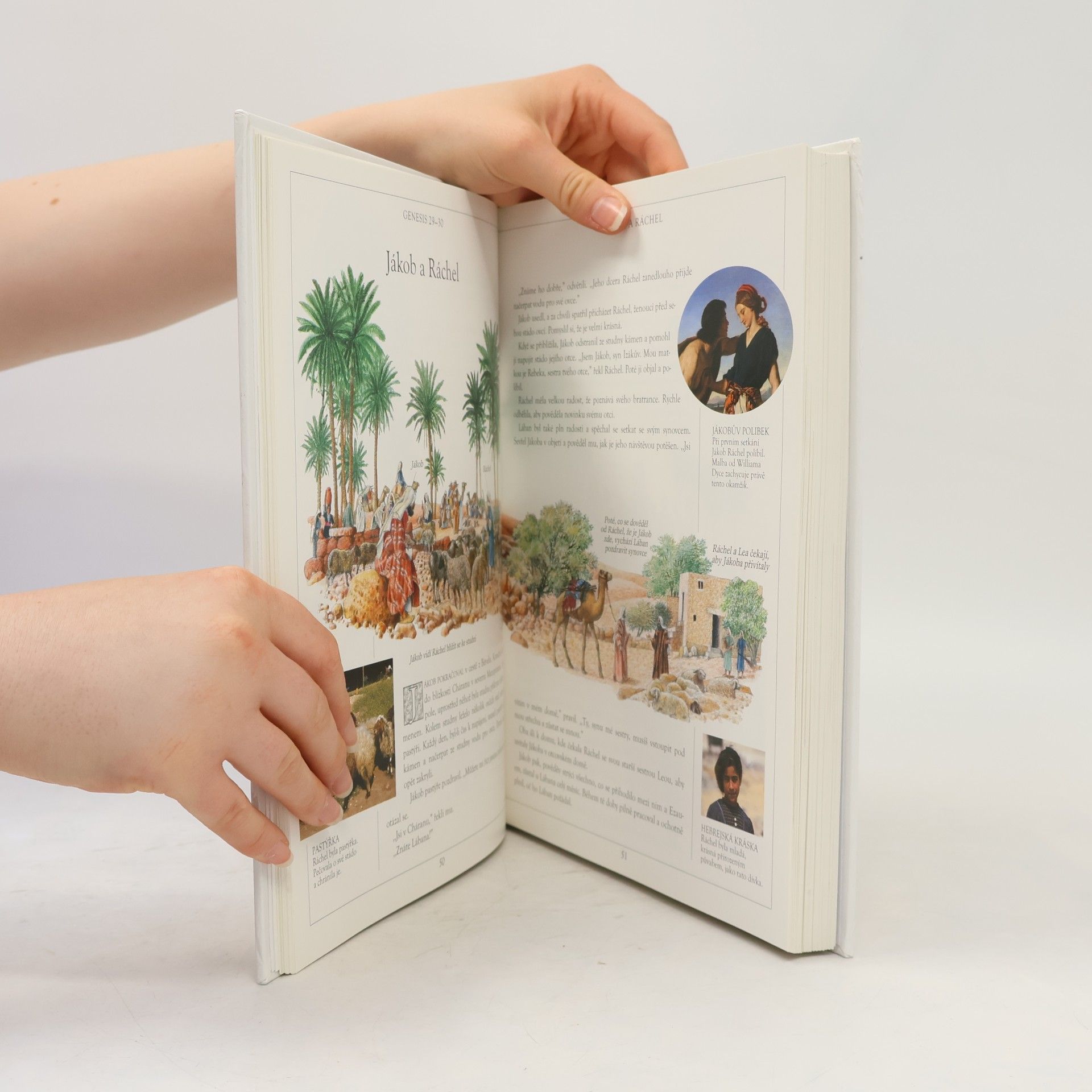 Selina Hastings Ilustrovaná bible