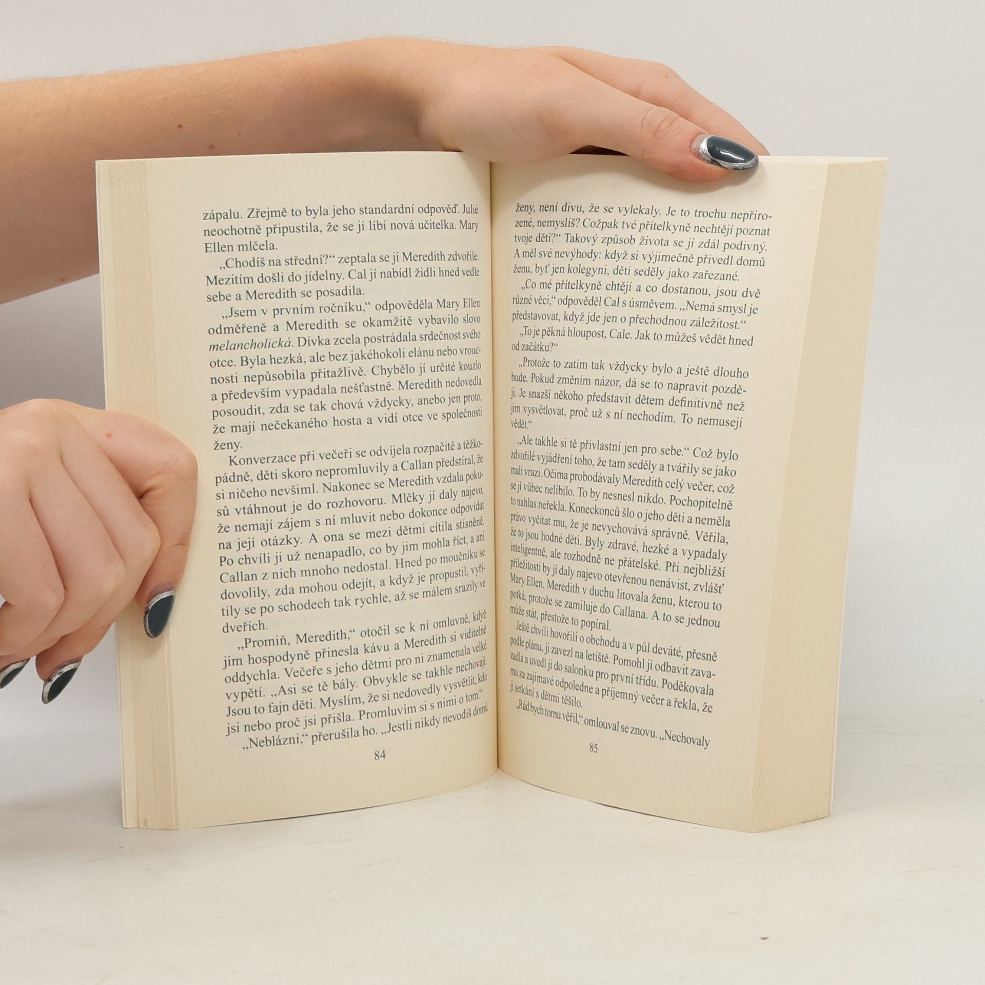 Danielle Steel Neodolatelné síly