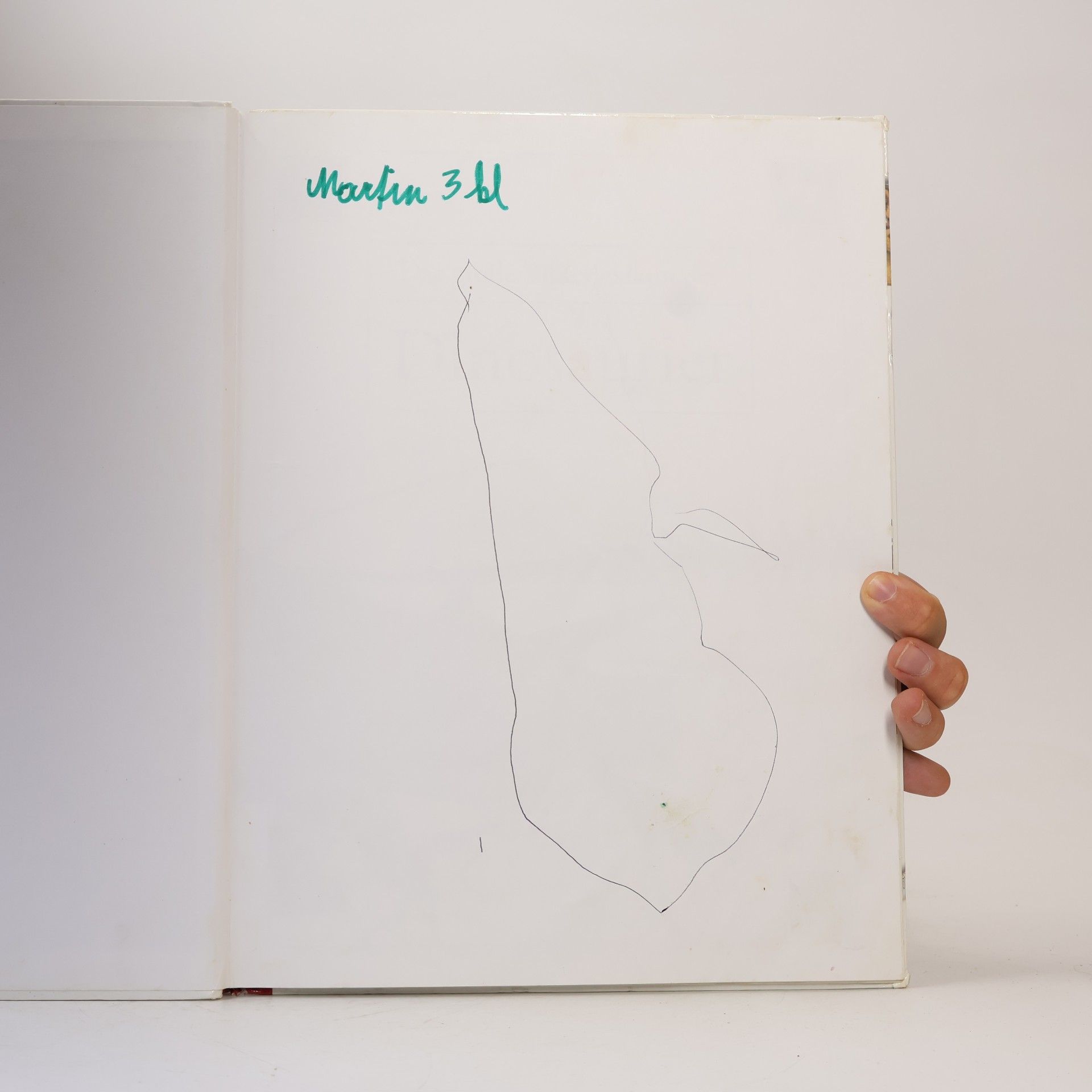 Angela Wilkes Das große Bilderlexikon der Dinosaurier