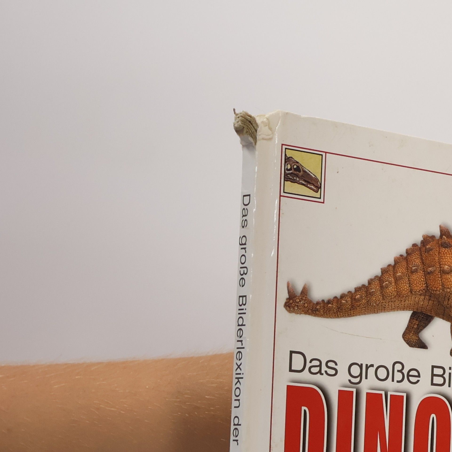 Angela Wilkes Das große Bilderlexikon der Dinosaurier