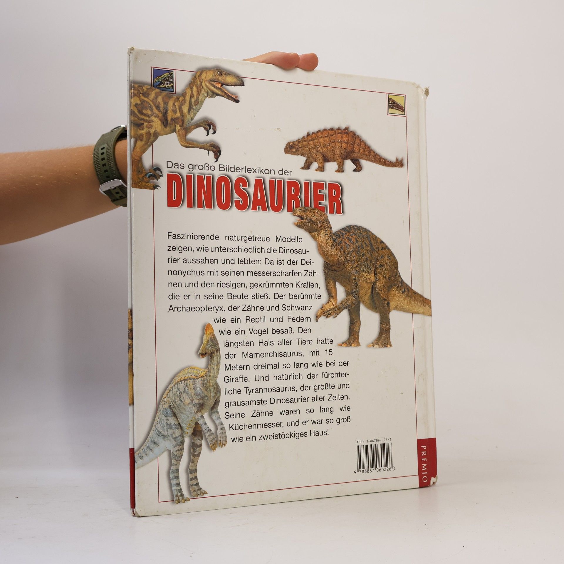 Angela Wilkes Das große Bilderlexikon der Dinosaurier