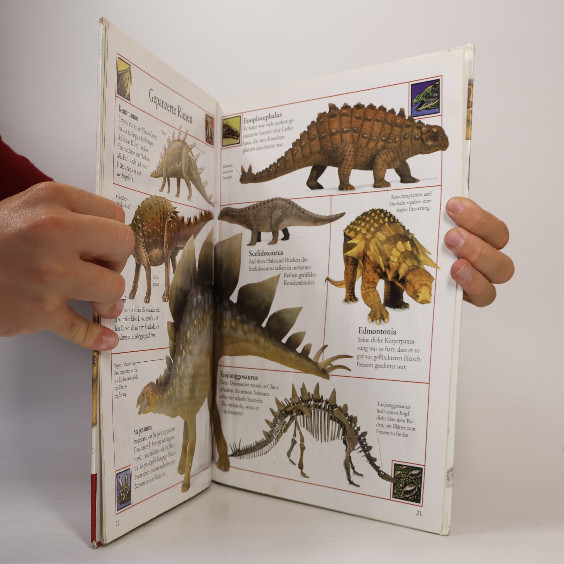 Angela Wilkes Das große Bilderlexikon der Dinosaurier