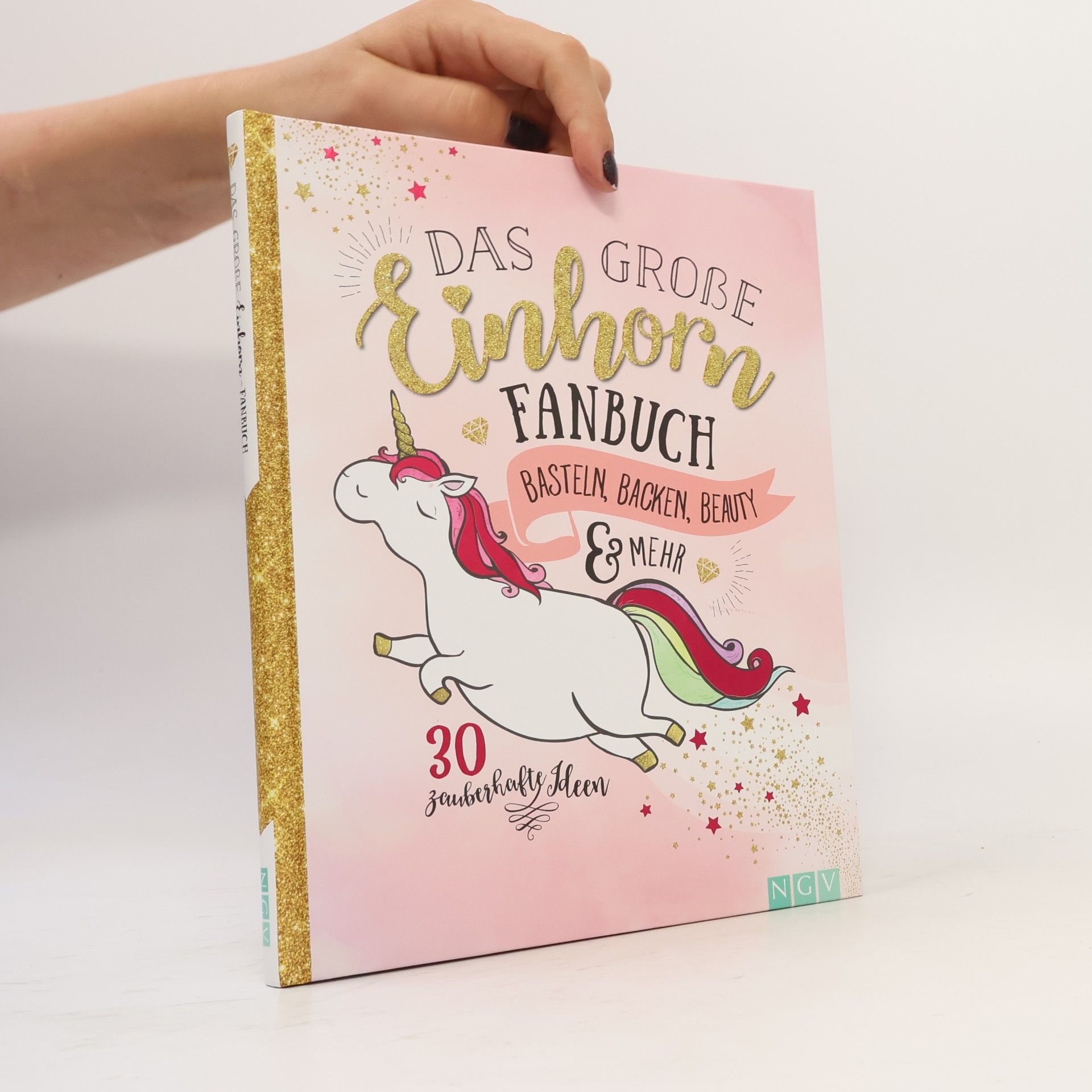 Autorenkollektiv Das grosse Einhorn Fanbuch