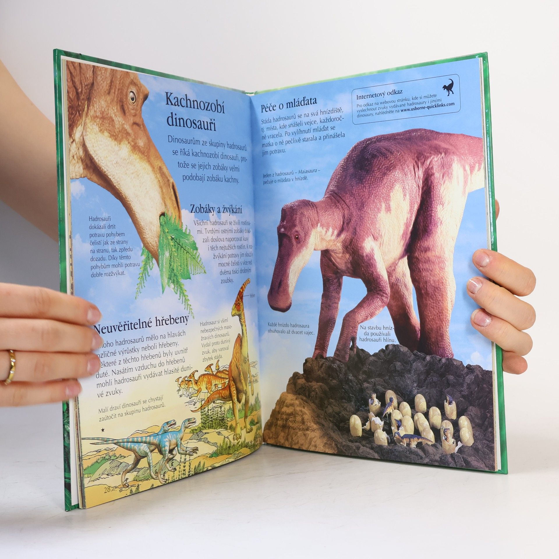 Sam Taplin Dinosauři a prehistorický život: Obrazová encyklopedie