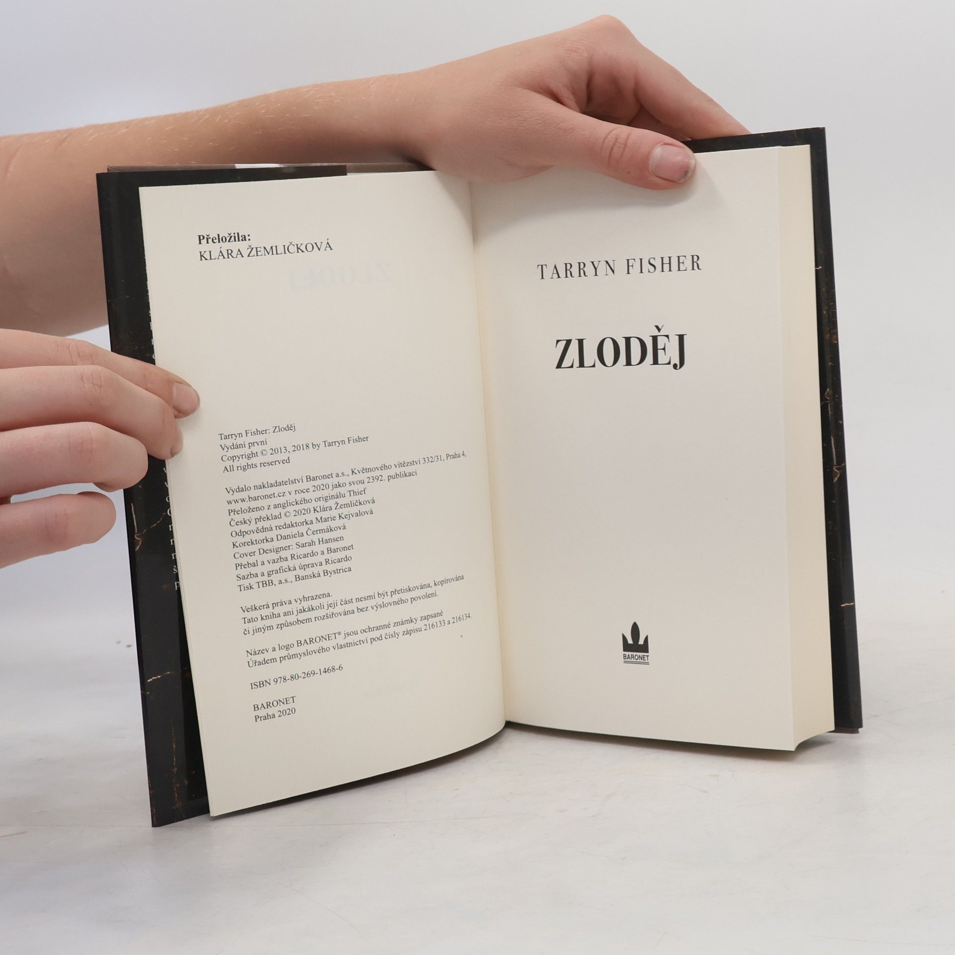 Tarryn Fisher Zloděj