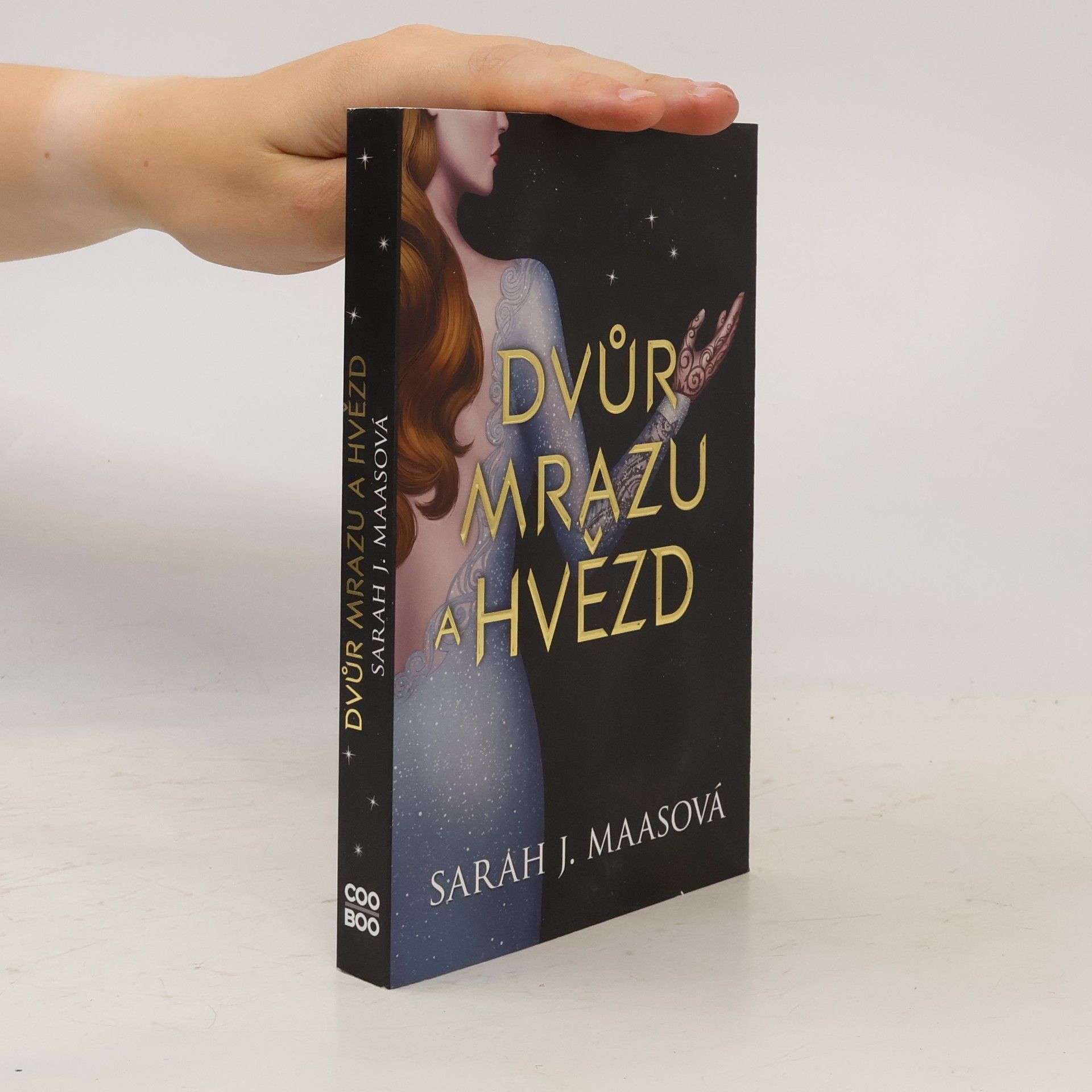 Sarah J. Maas Dvůr mrazu a hvězd
