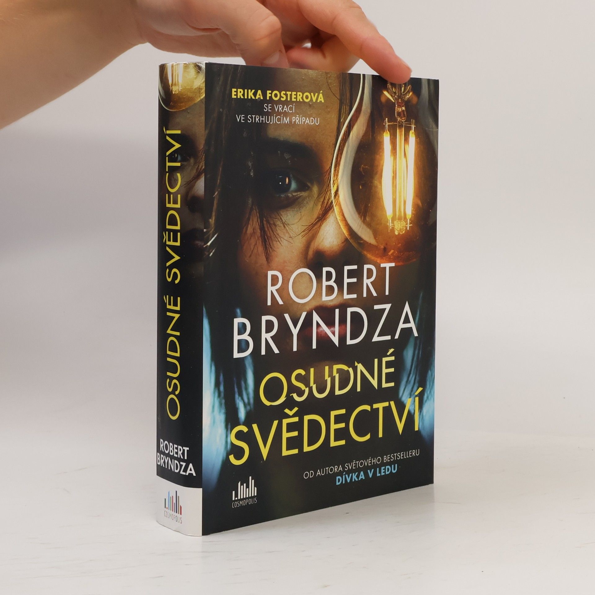Robert Bryndza Osudné svědectví