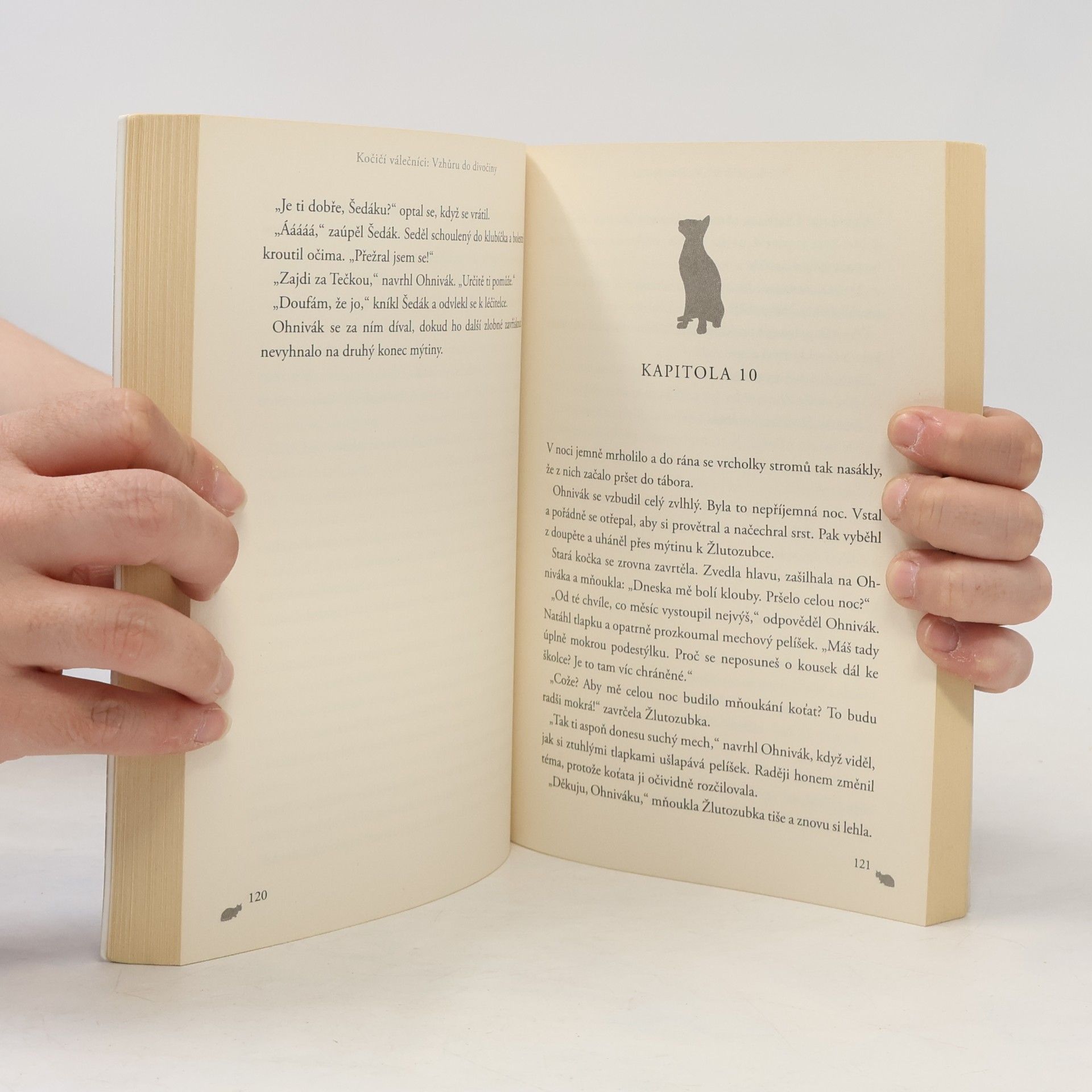 Erin Hunter Kočičí válečníci. Vzhůru do divočiny