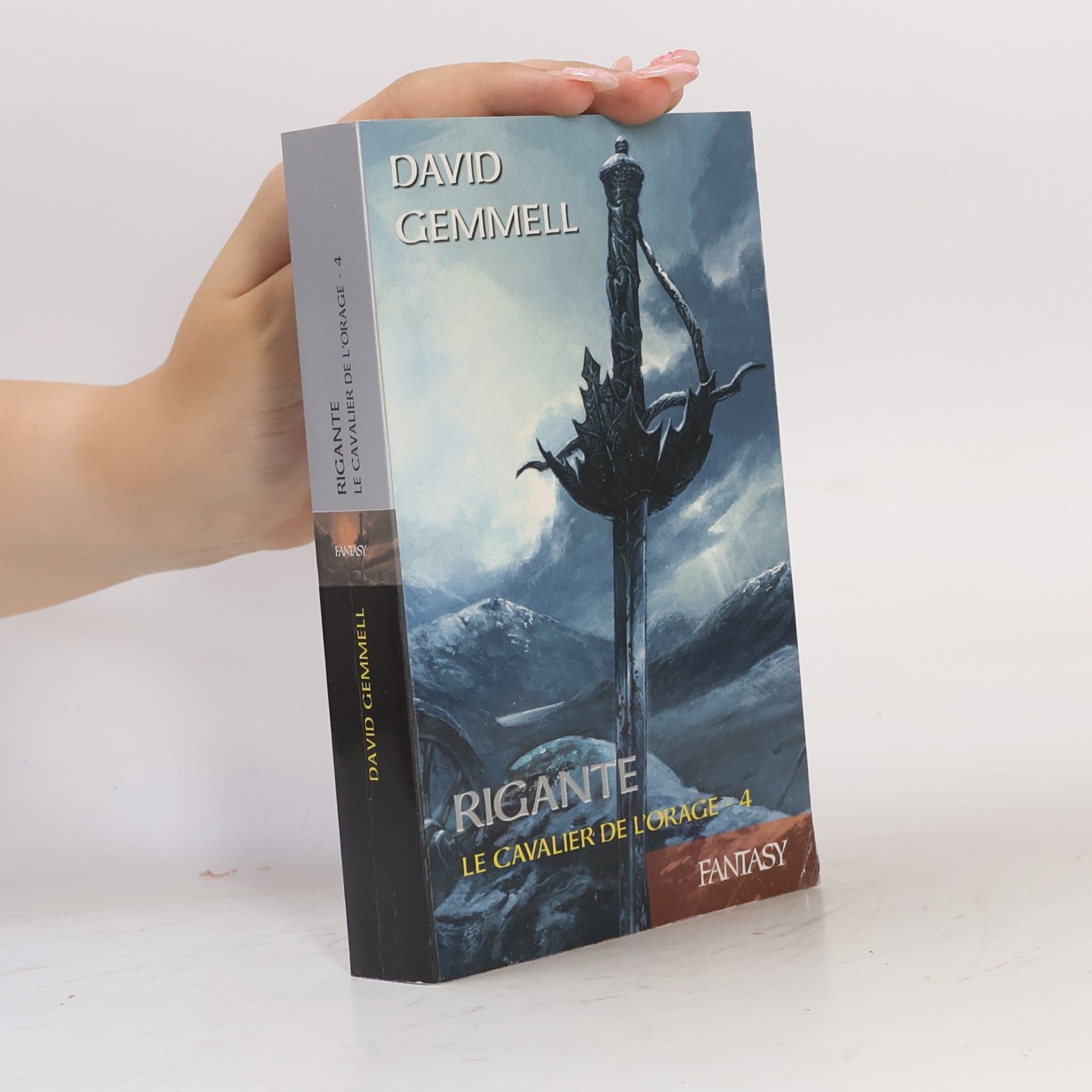 David Gemmell Rigante. Le Cavalier de l'Orage 4