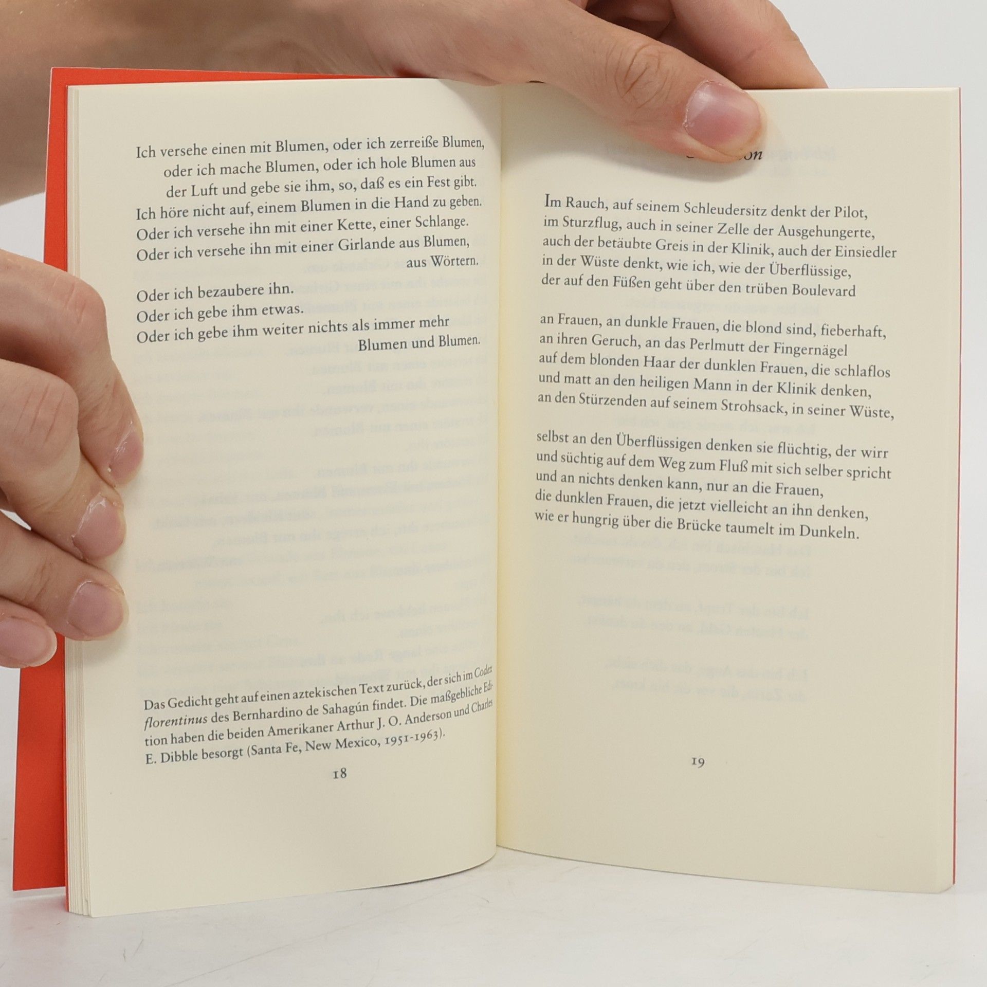Hans Magnus Enzensberger Liebesgedichte
